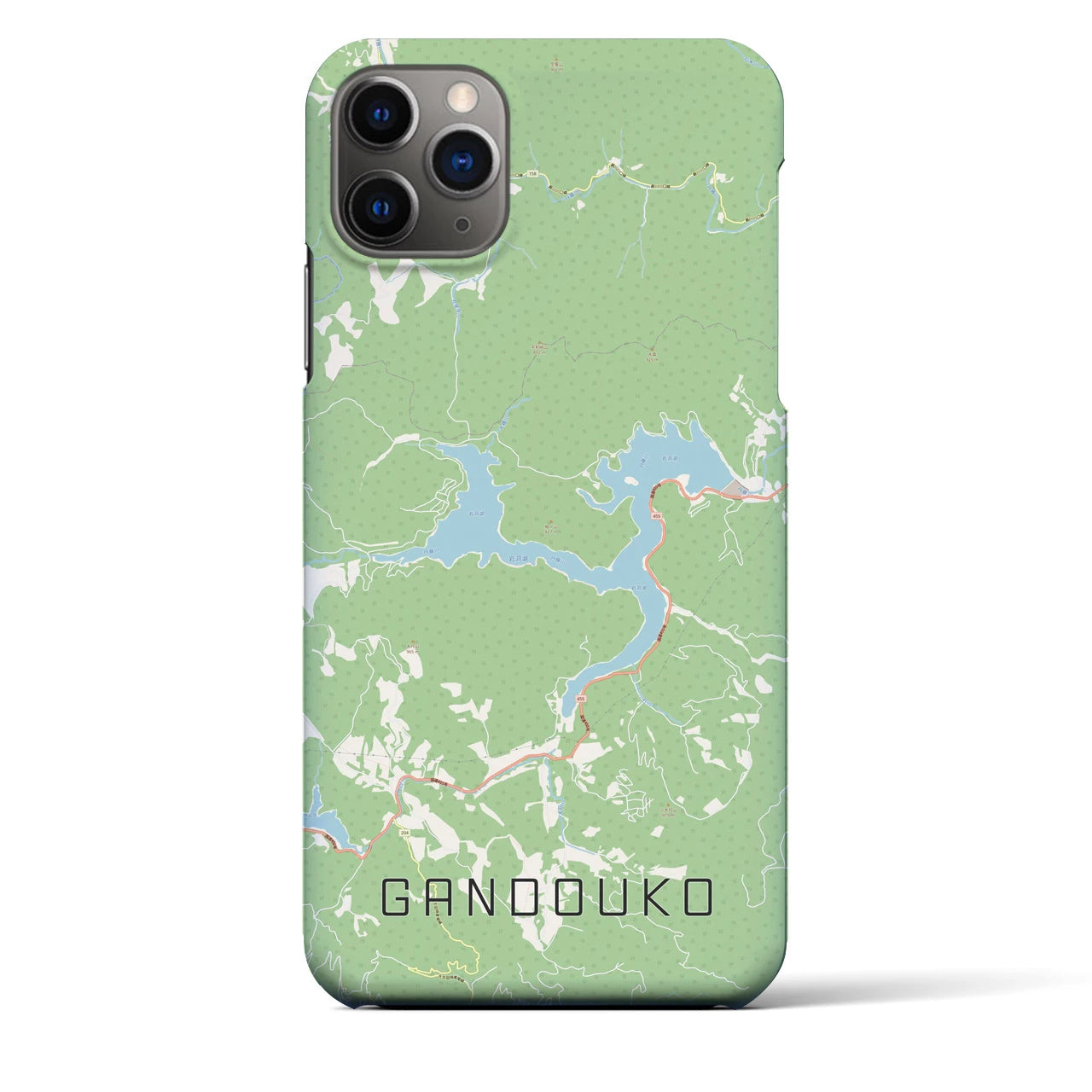 【岩洞湖】地図柄iPhoneケース（バックカバータイプ・ナチュラル）iPhone 11 Pro Max 用