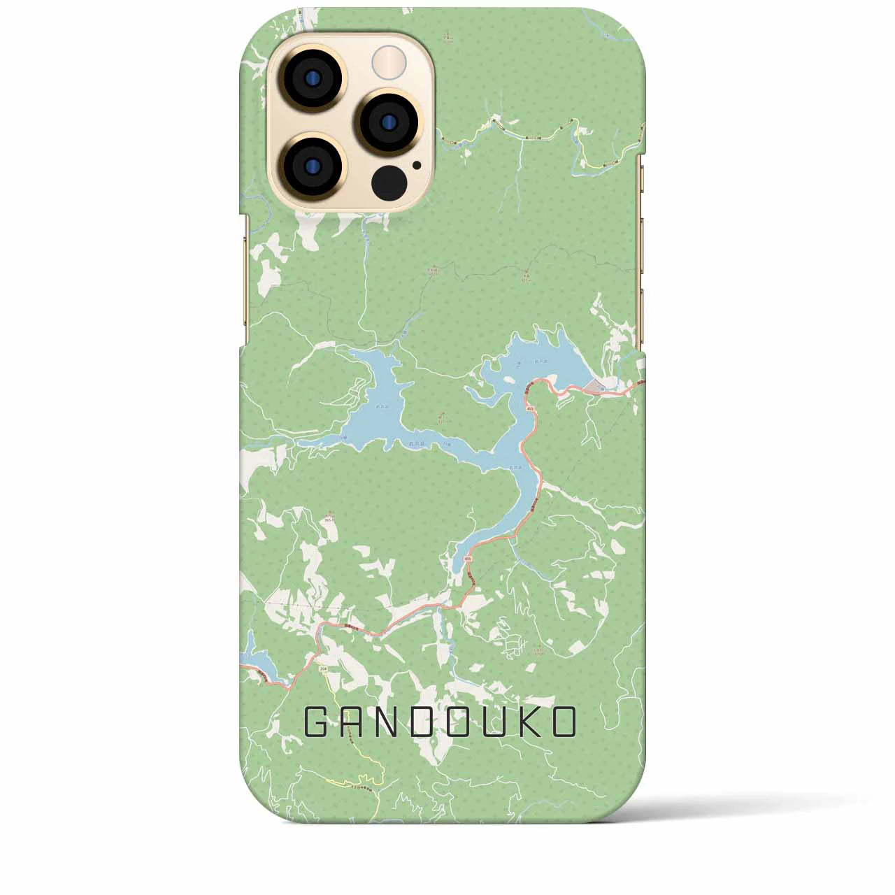 【岩洞湖】地図柄iPhoneケース（バックカバータイプ・ナチュラル）iPhone 12 Pro Max 用