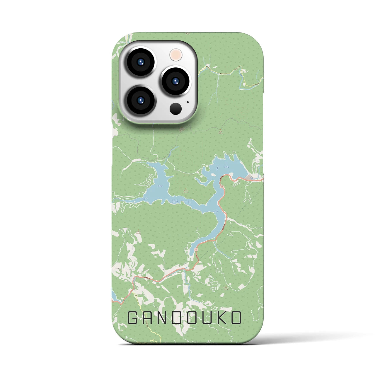 【岩洞湖】地図柄iPhoneケース（バックカバータイプ・ナチュラル）iPhone 13 Pro 用