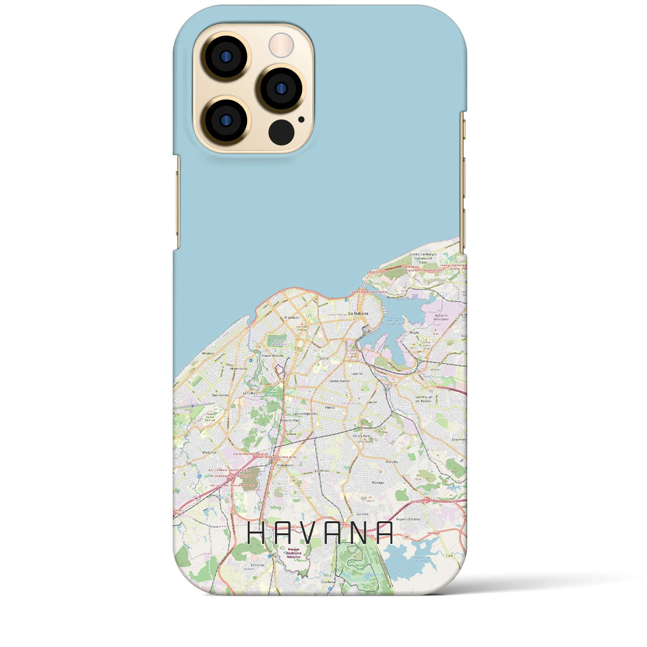 【ハバナ】地図柄iPhoneケース（バックカバータイプ・ナチュラル）iPhone 12 Pro Max 用