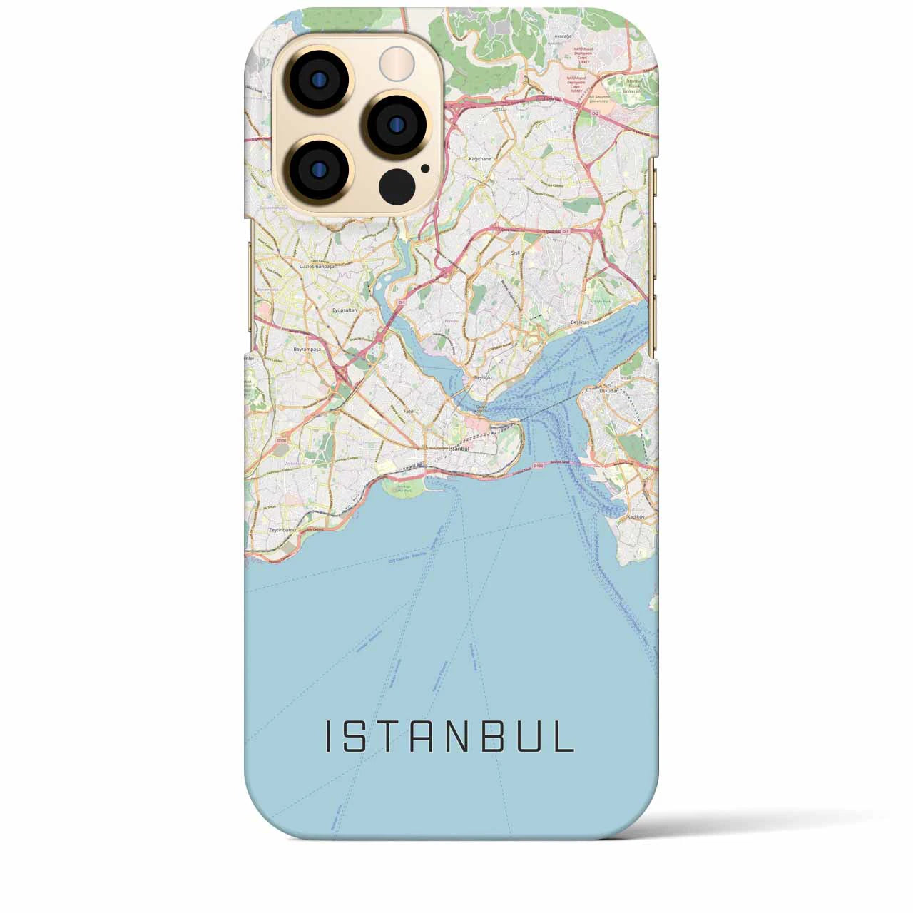 【イスタンブール】地図柄iPhoneケース（バックカバータイプ・ナチュラル）iPhone 12 Pro Max 用