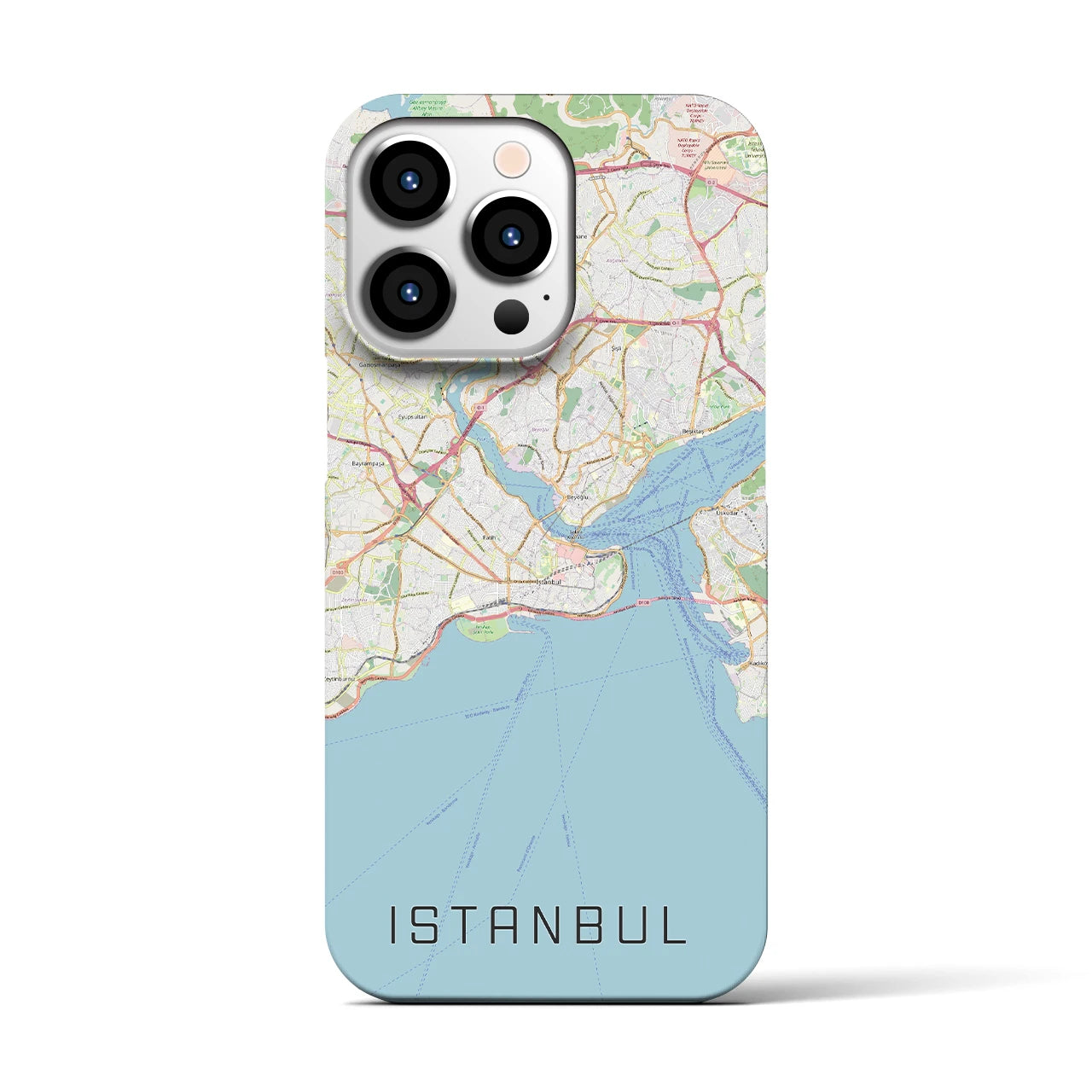 【イスタンブール】地図柄iPhoneケース（バックカバータイプ・ナチュラル）iPhone 13 Pro 用