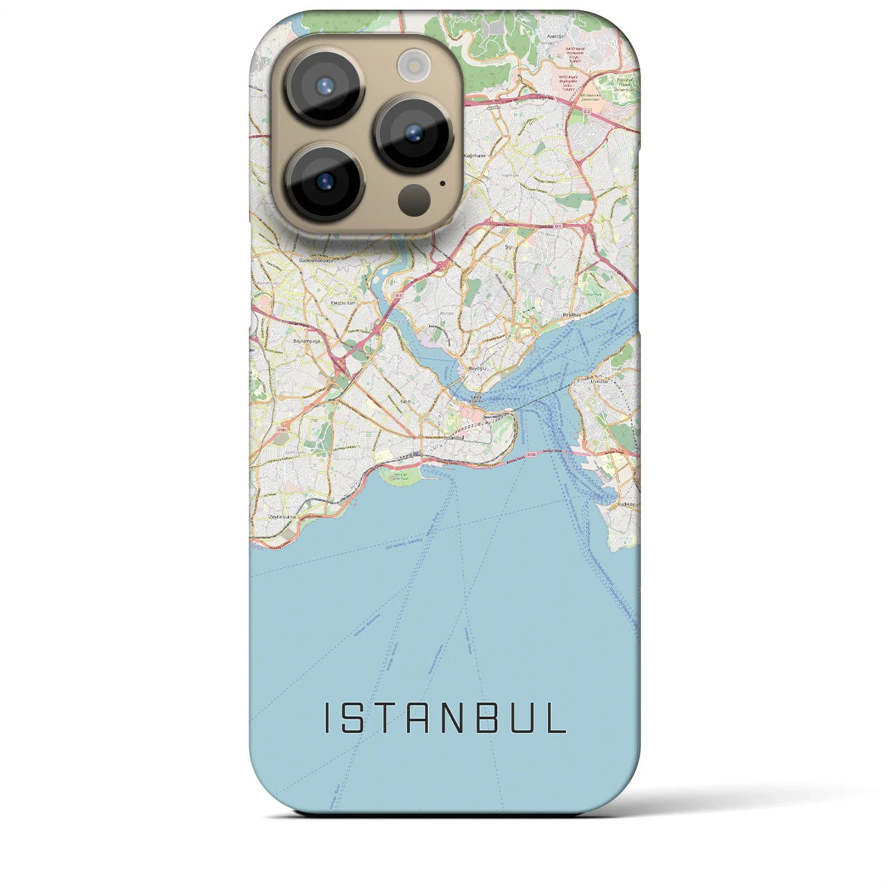 【イスタンブール】地図柄iPhoneケース（バックカバータイプ・ナチュラル）iPhone 14 Pro Max 用