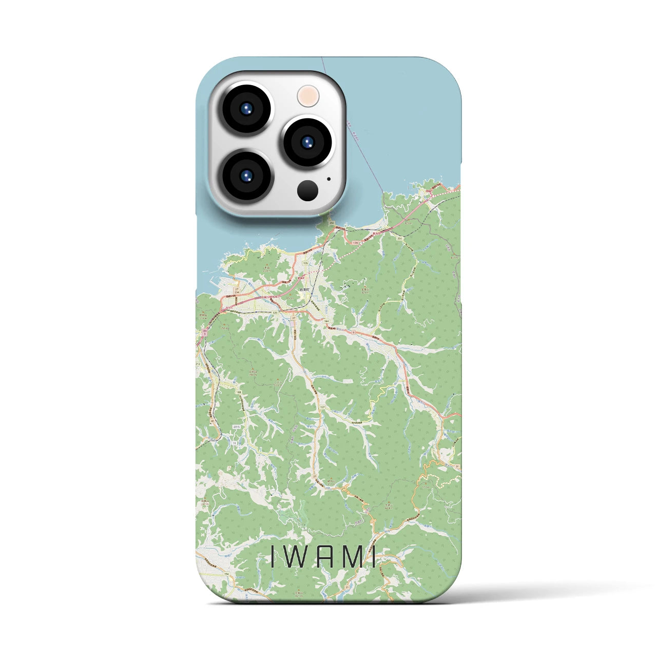 【岩美】地図柄iPhoneケース（バックカバータイプ・ナチュラル）iPhone 13 Pro 用