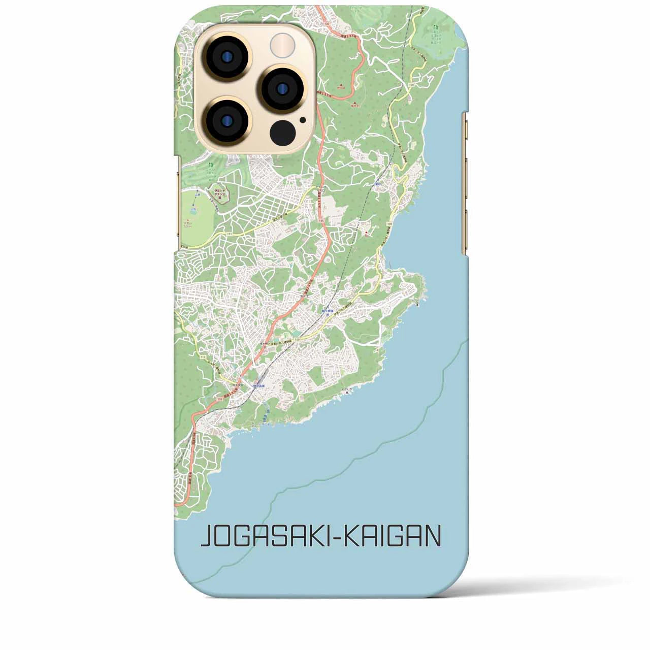 【城ヶ崎海岸】地図柄iPhoneケース（バックカバータイプ・ナチュラル）iPhone 12 Pro Max 用