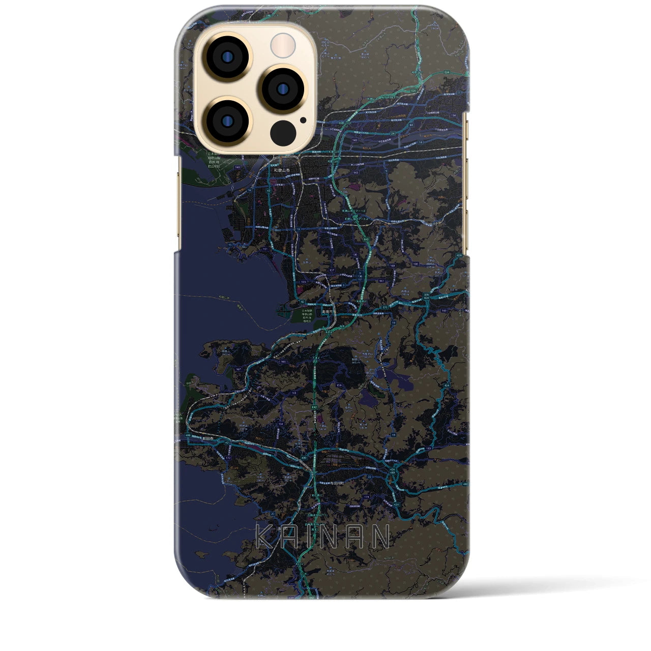 【海南】地図柄iPhoneケース（バックカバータイプ・ブラック）iPhone 12 Pro Max 用