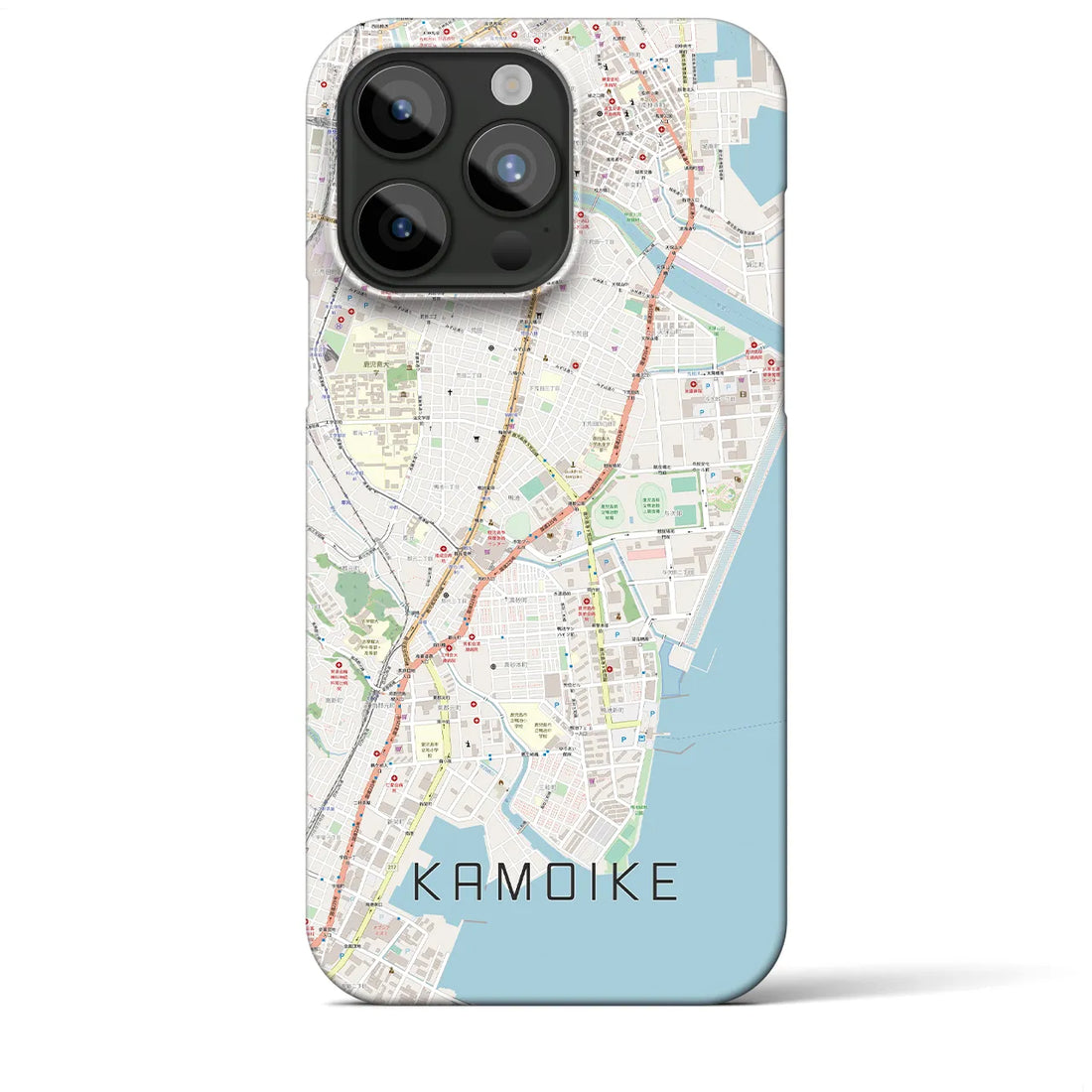 【鴨池】地図柄iPhoneケース（バックカバータイプ・ナチュラル）iPhone 15 Pro Max 用