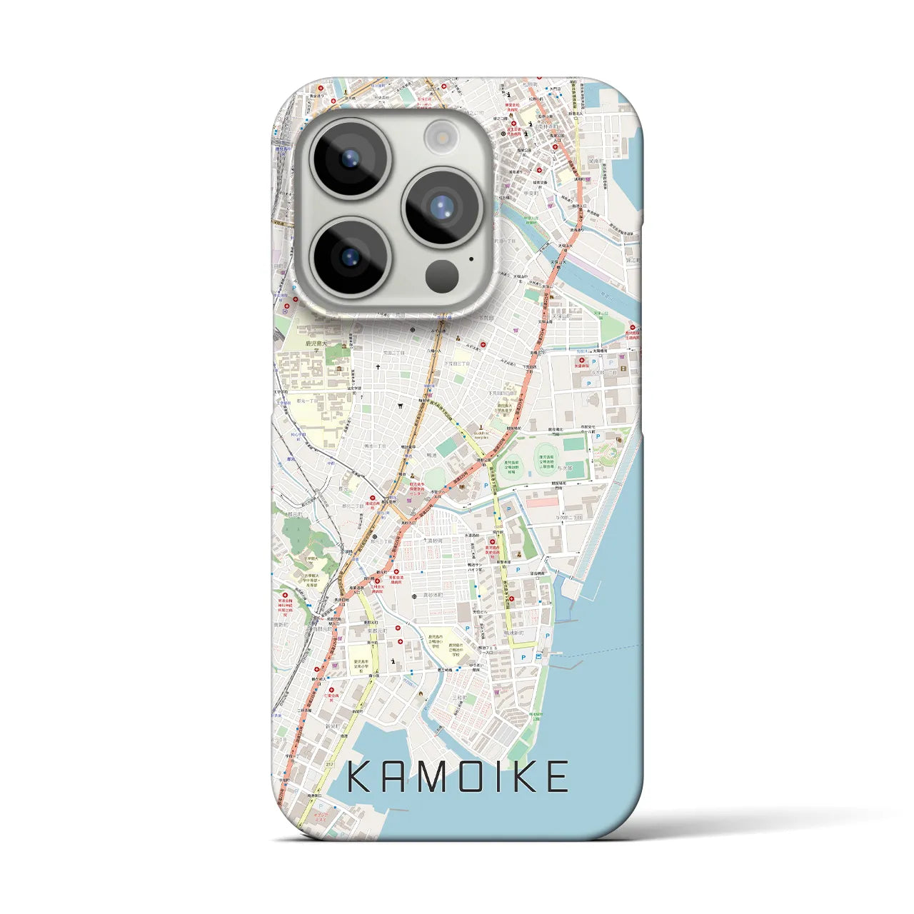 【鴨池】地図柄iPhoneケース（バックカバータイプ・ナチュラル）iPhone 15 Pro 用
