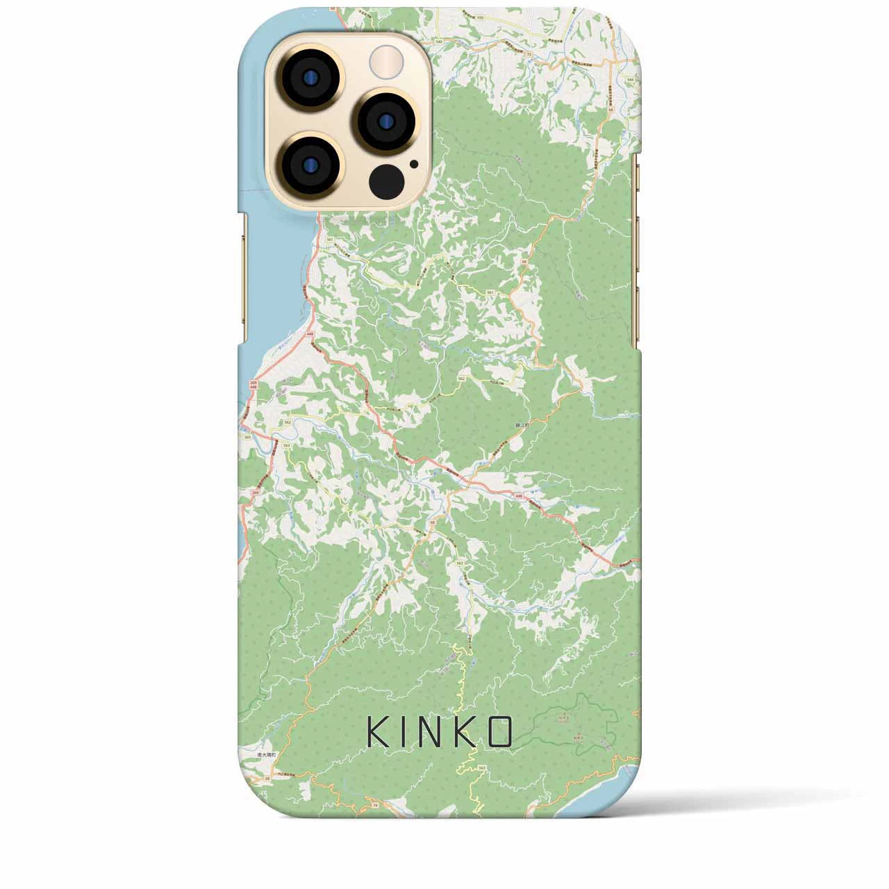 【錦江】地図柄iPhoneケース（バックカバータイプ・ナチュラル）iPhone 12 Pro Max 用