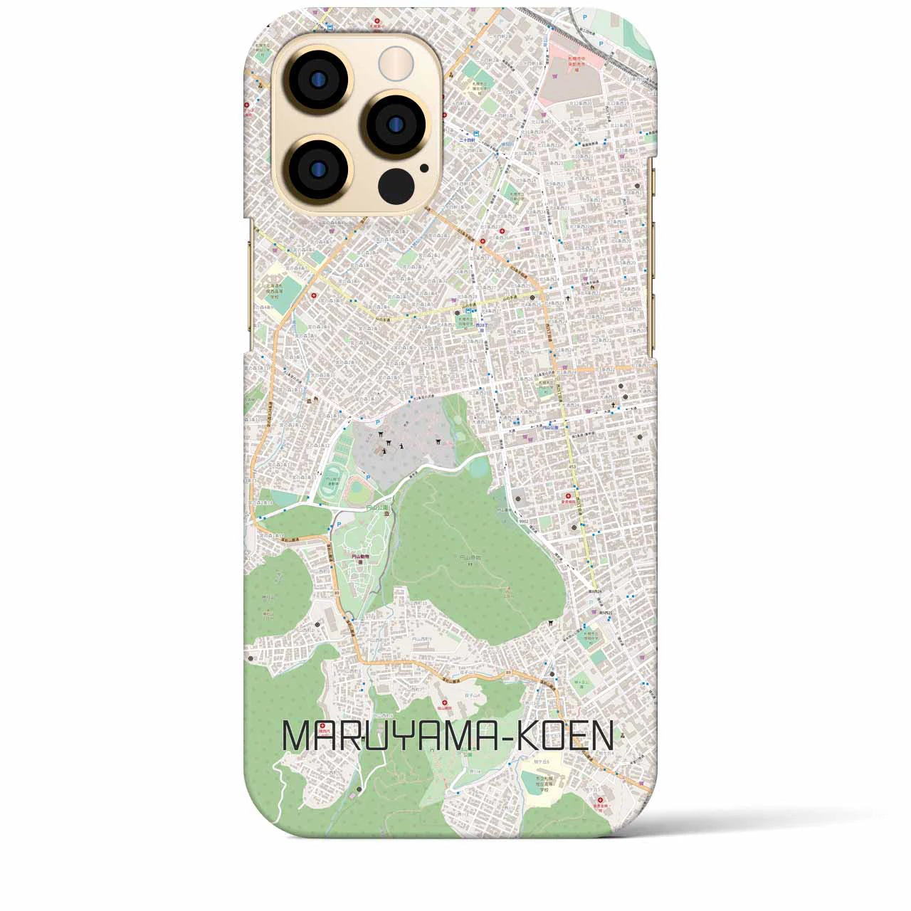 【円山公園】地図柄iPhoneケース（バックカバータイプ・ナチュラル）iPhone 12 Pro Max 用