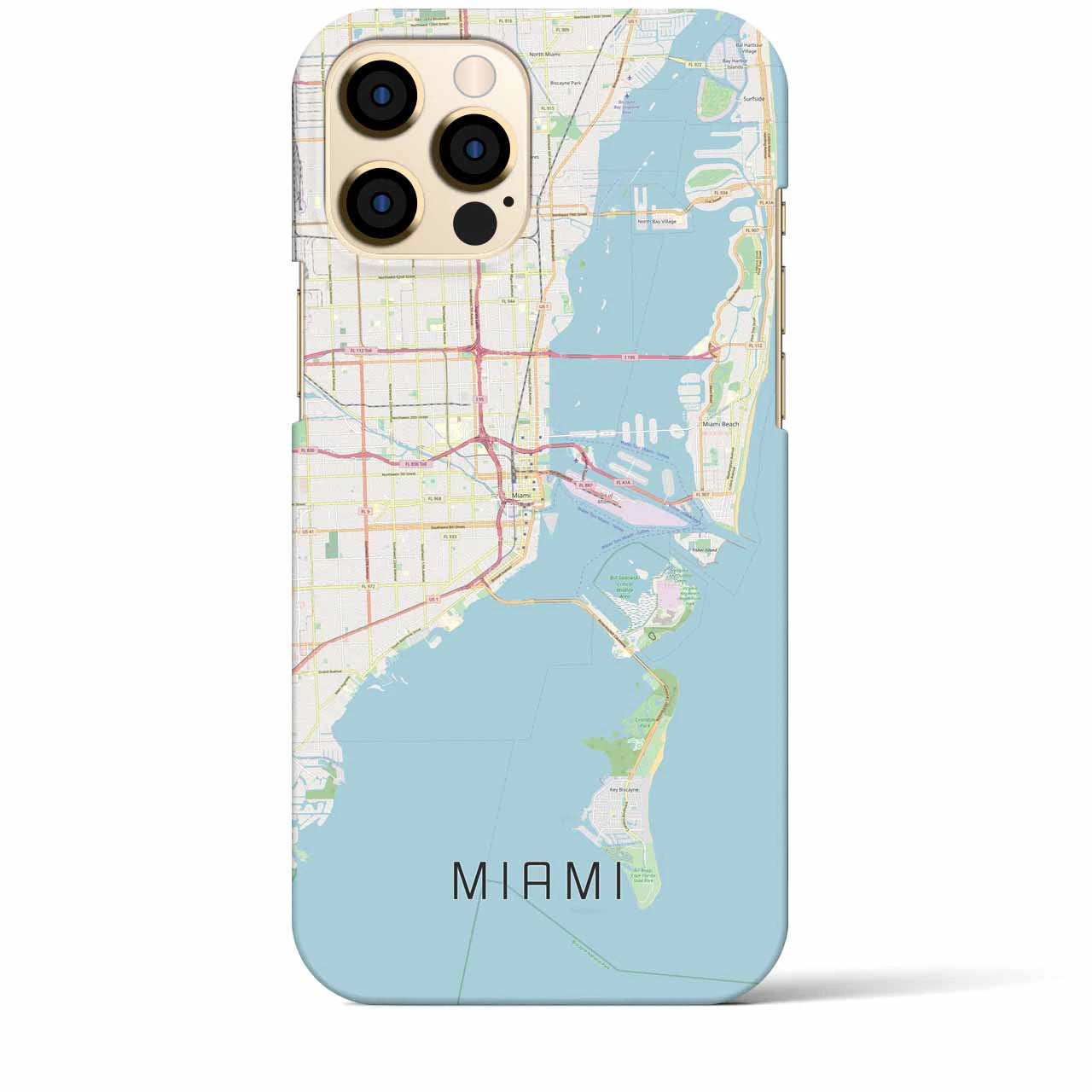 【マイアミ】地図柄iPhoneケース（バックカバータイプ・ナチュラル）iPhone 12 Pro Max 用