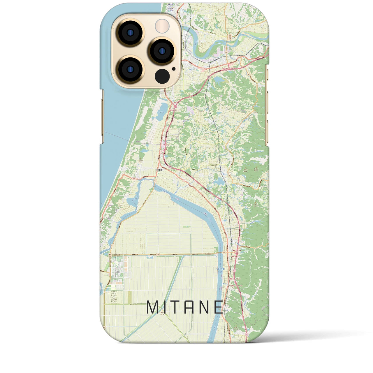 【三種】地図柄iPhoneケース（バックカバータイプ・ナチュラル）iPhone 12 Pro Max 用