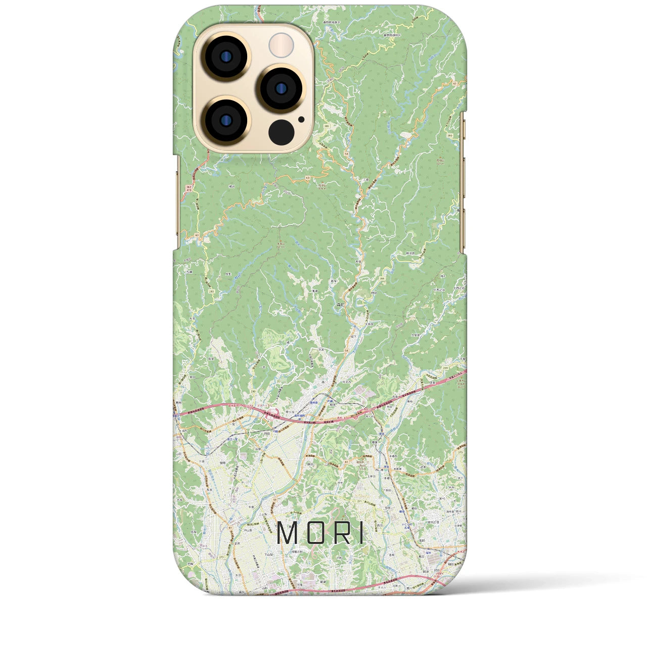 【森】地図柄iPhoneケース（バックカバータイプ・ナチュラル）iPhone 12 Pro Max 用