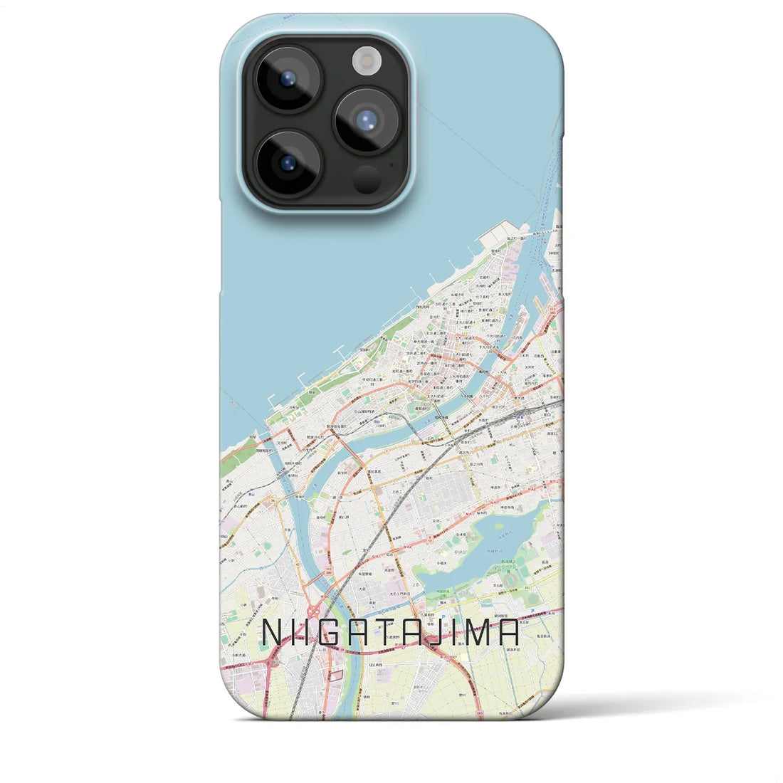 【新潟島】地図柄iPhoneケース（バックカバータイプ・ナチュラル）iPhone 15 Pro Max 用