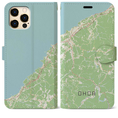 【大田（島根県）】地図柄iPhoneケース（手帳タイプ）ナチュラル・iPhone 12 Pro Max 用