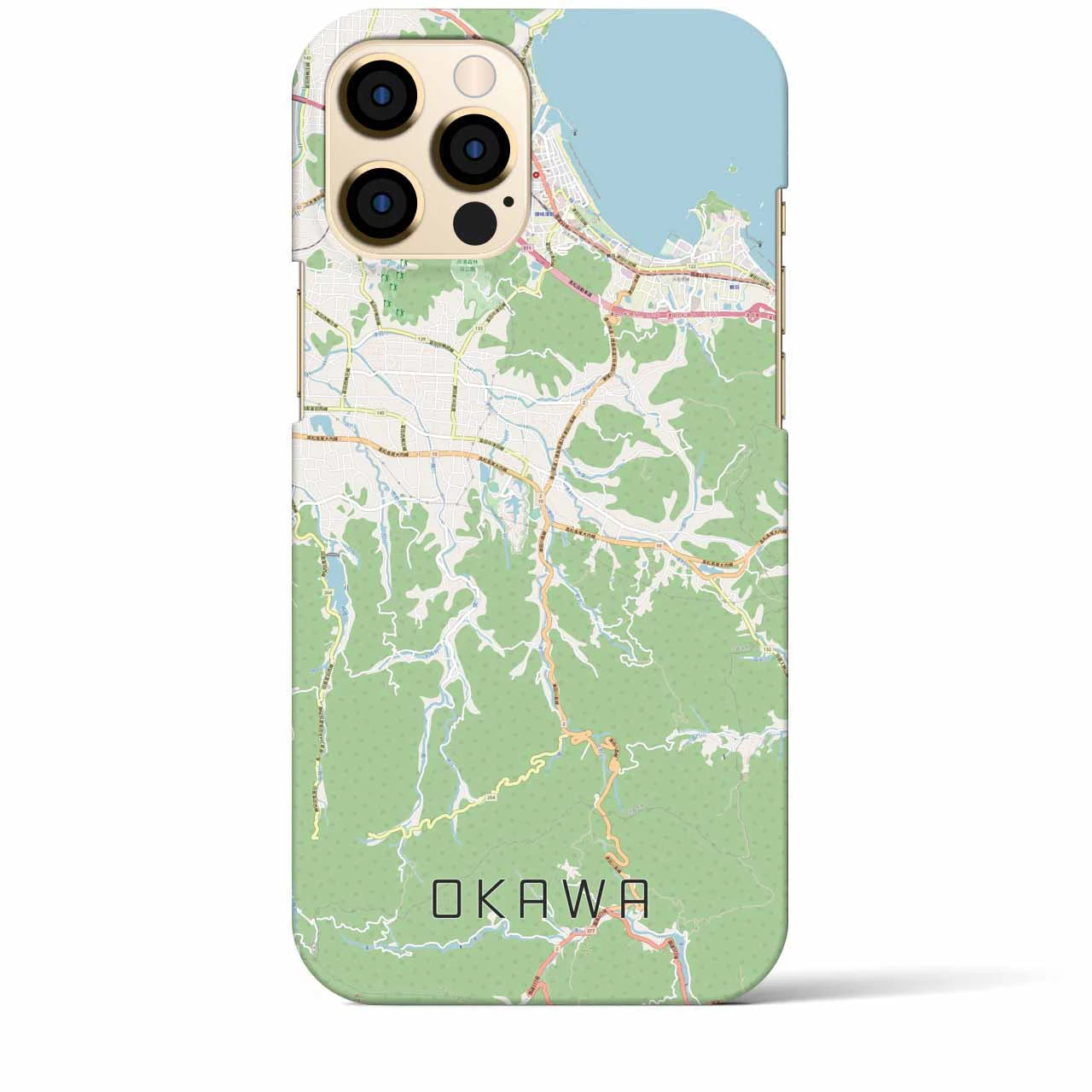【大川】地図柄iPhoneケース（バックカバータイプ・ナチュラル）iPhone 12 Pro Max 用