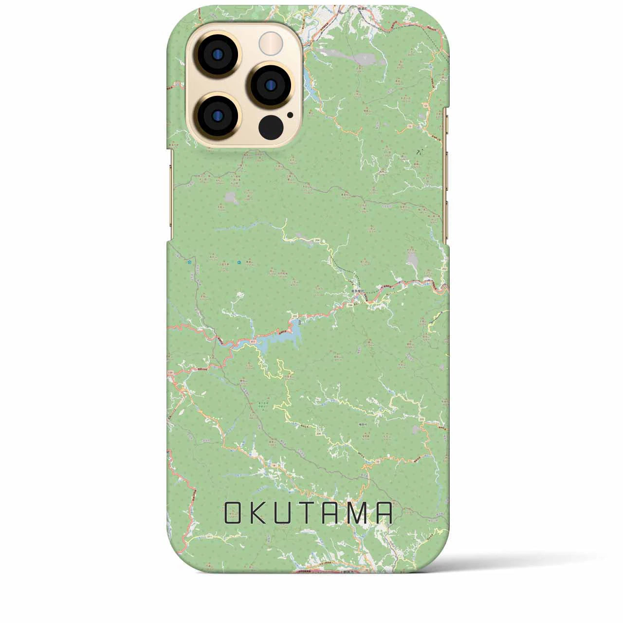 【奥多摩】地図柄iPhoneケース（バックカバータイプ・ナチュラル）iPhone 12 Pro Max 用