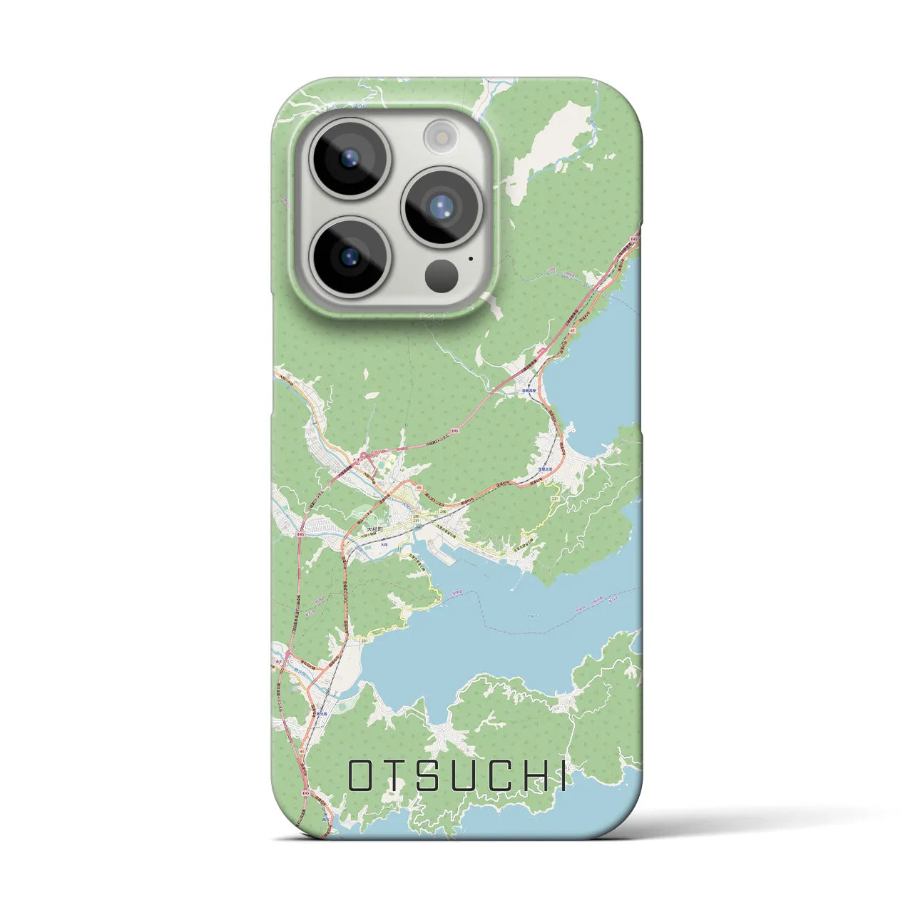 【大槌】地図柄iPhoneケース（バックカバータイプ・ナチュラル）iPhone 15 Pro 用