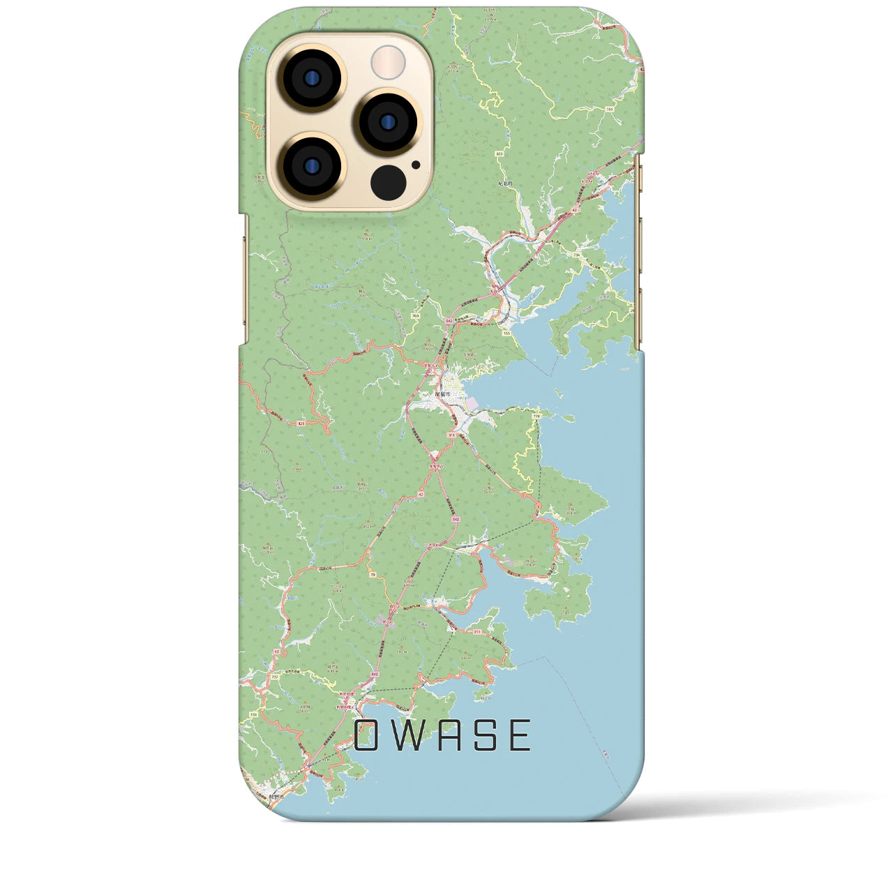 【尾鷲】地図柄iPhoneケース（バックカバータイプ・ナチュラル）iPhone 12 Pro Max 用