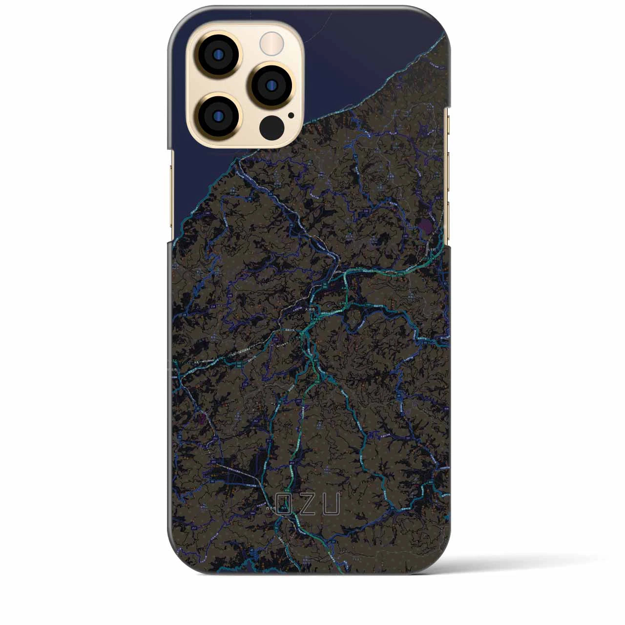 【大洲】地図柄iPhoneケース（バックカバータイプ・ブラック）iPhone 12 Pro Max 用
