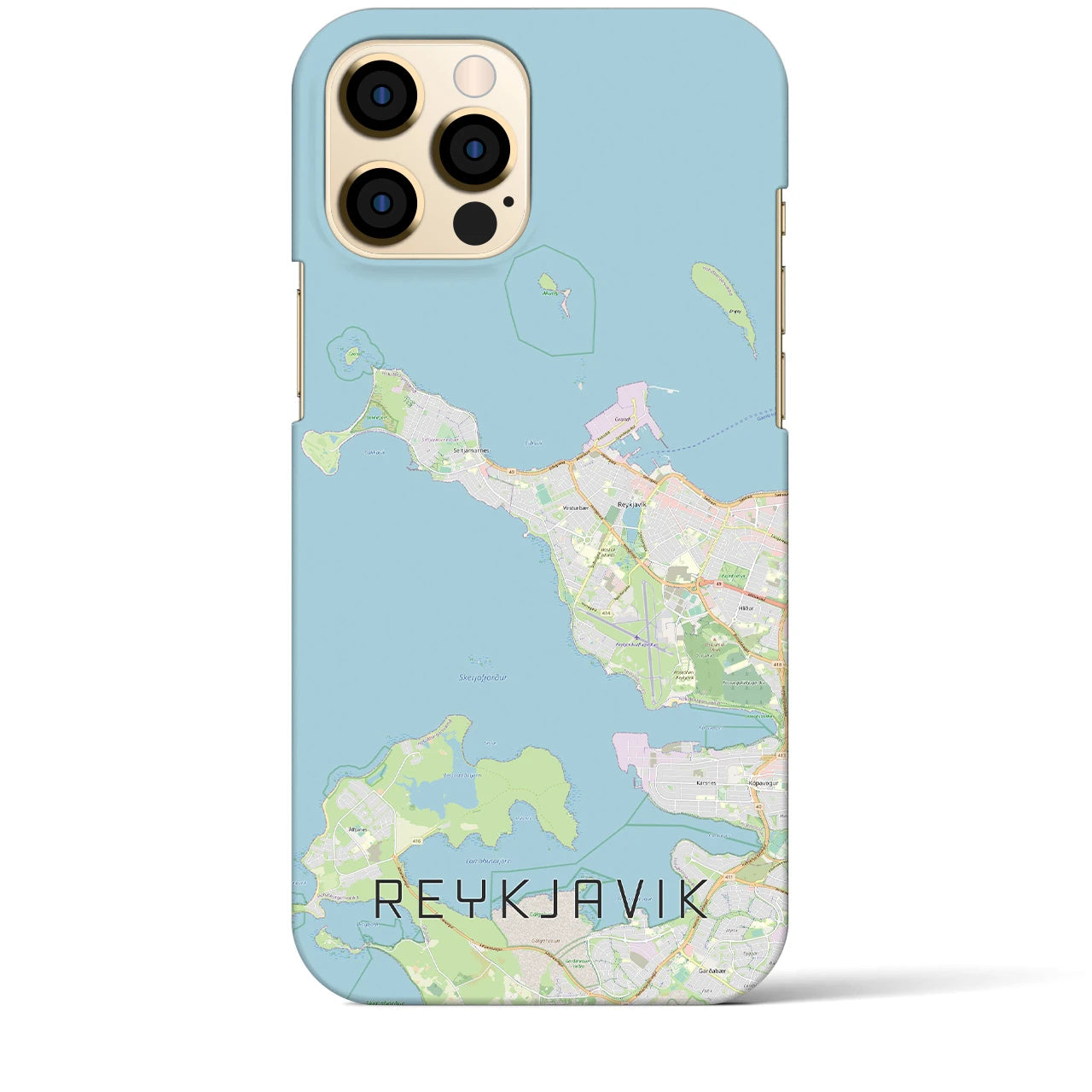 【レイキャヴィーク】地図柄iPhoneケース（バックカバータイプ・ナチュラル）iPhone 12 Pro Max 用