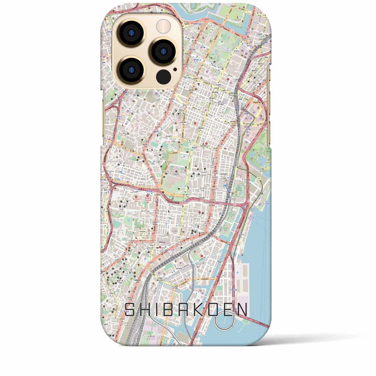 【芝公園】地図柄iPhoneケース（バックカバータイプ・ナチュラル）iPhone 12 Pro Max 用