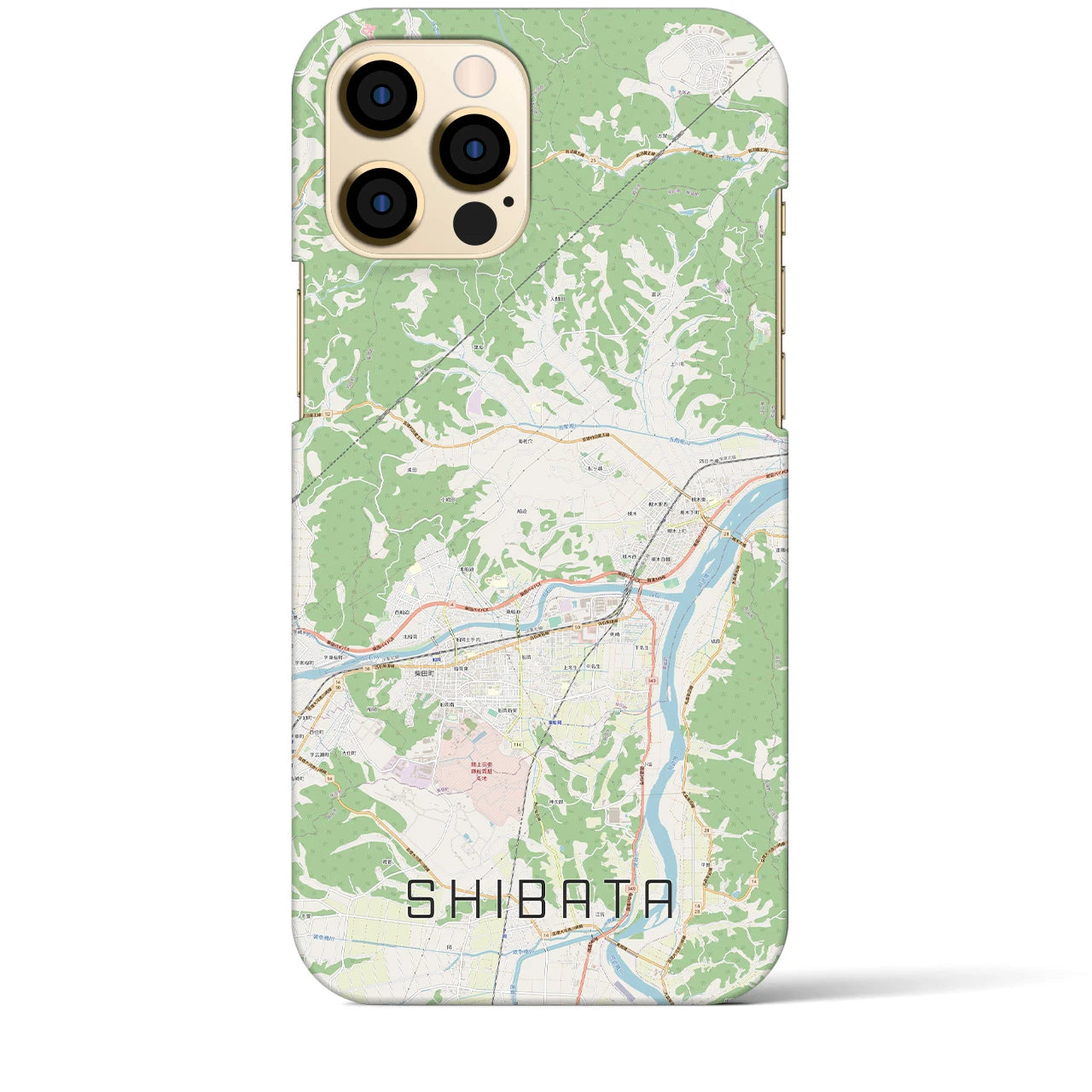 【柴田】地図柄iPhoneケース（バックカバータイプ・ナチュラル）iPhone 12 Pro Max 用