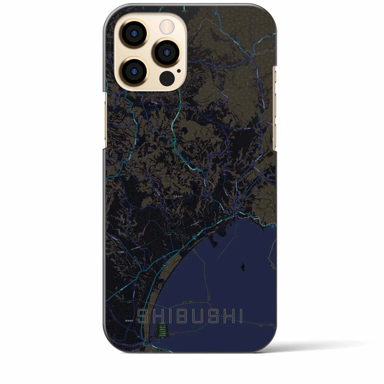 【志布志】地図柄iPhoneケース（バックカバータイプ・ブラック）iPhone 12 Pro Max 用