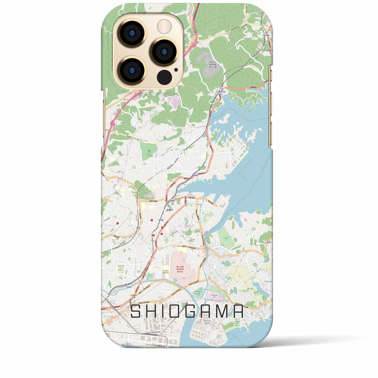 【塩竈】地図柄iPhoneケース（バックカバータイプ・ナチュラル）iPhone 12 Pro Max 用