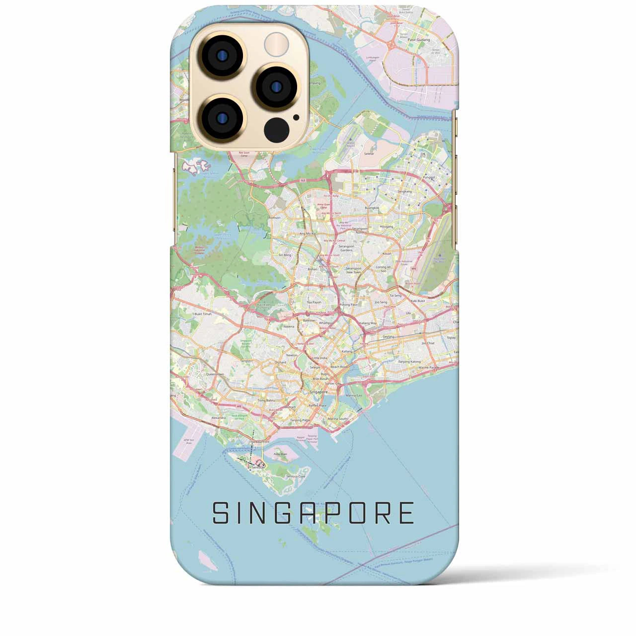 【シンガポール】地図柄iPhoneケース（バックカバータイプ・ナチュラル）iPhone 12 Pro Max 用