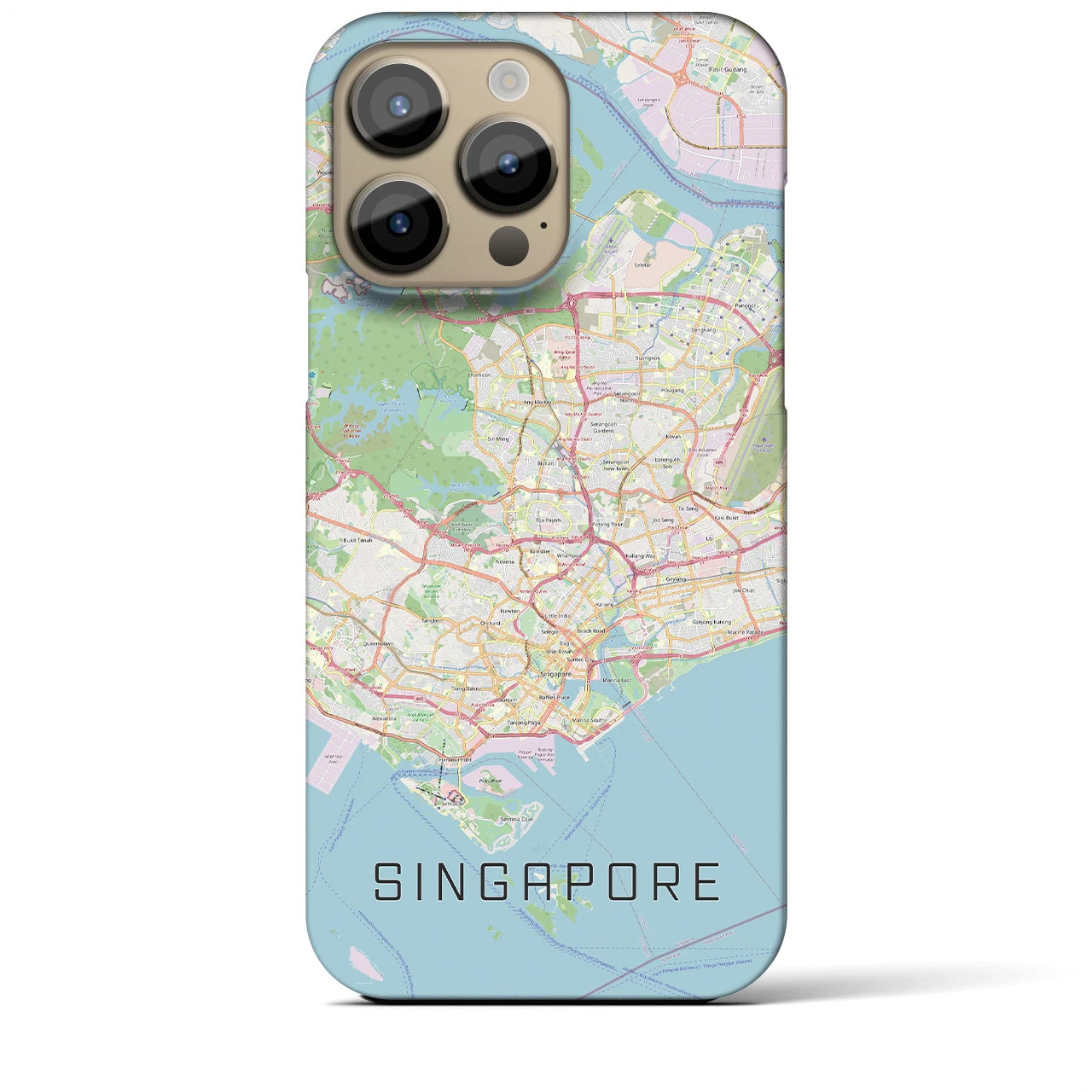 【シンガポール】地図柄iPhoneケース（バックカバータイプ・ナチュラル）iPhone 14 Pro Max 用