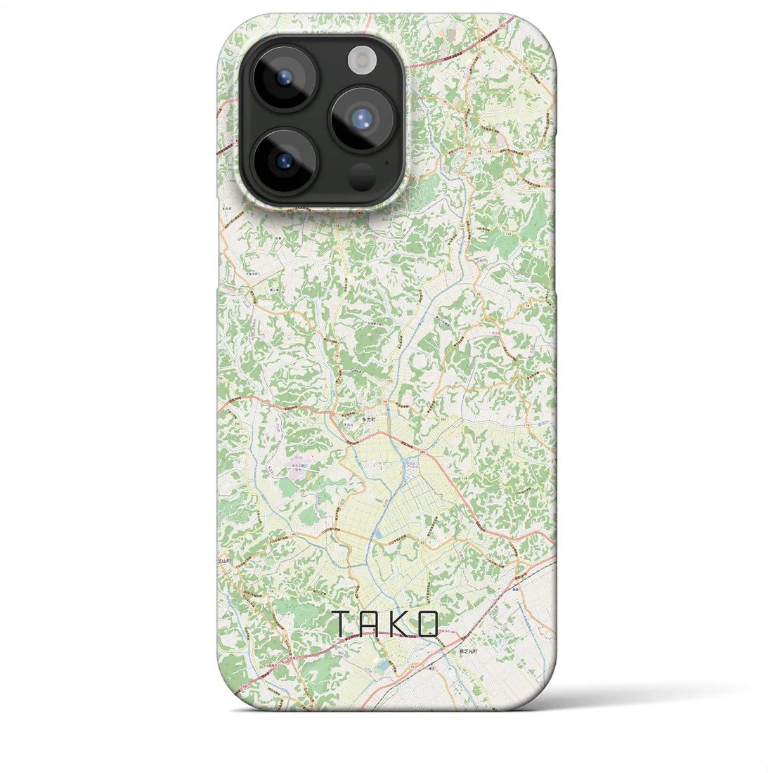 【多古】地図柄iPhoneケース（バックカバータイプ・ナチュラル）iPhone 15 Pro Max 用