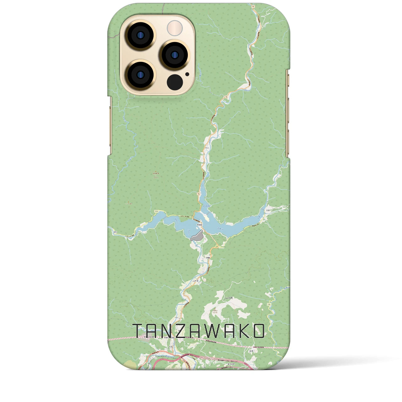 【丹沢湖】地図柄iPhoneケース（バックカバータイプ・ナチュラル）iPhone 12 Pro Max 用