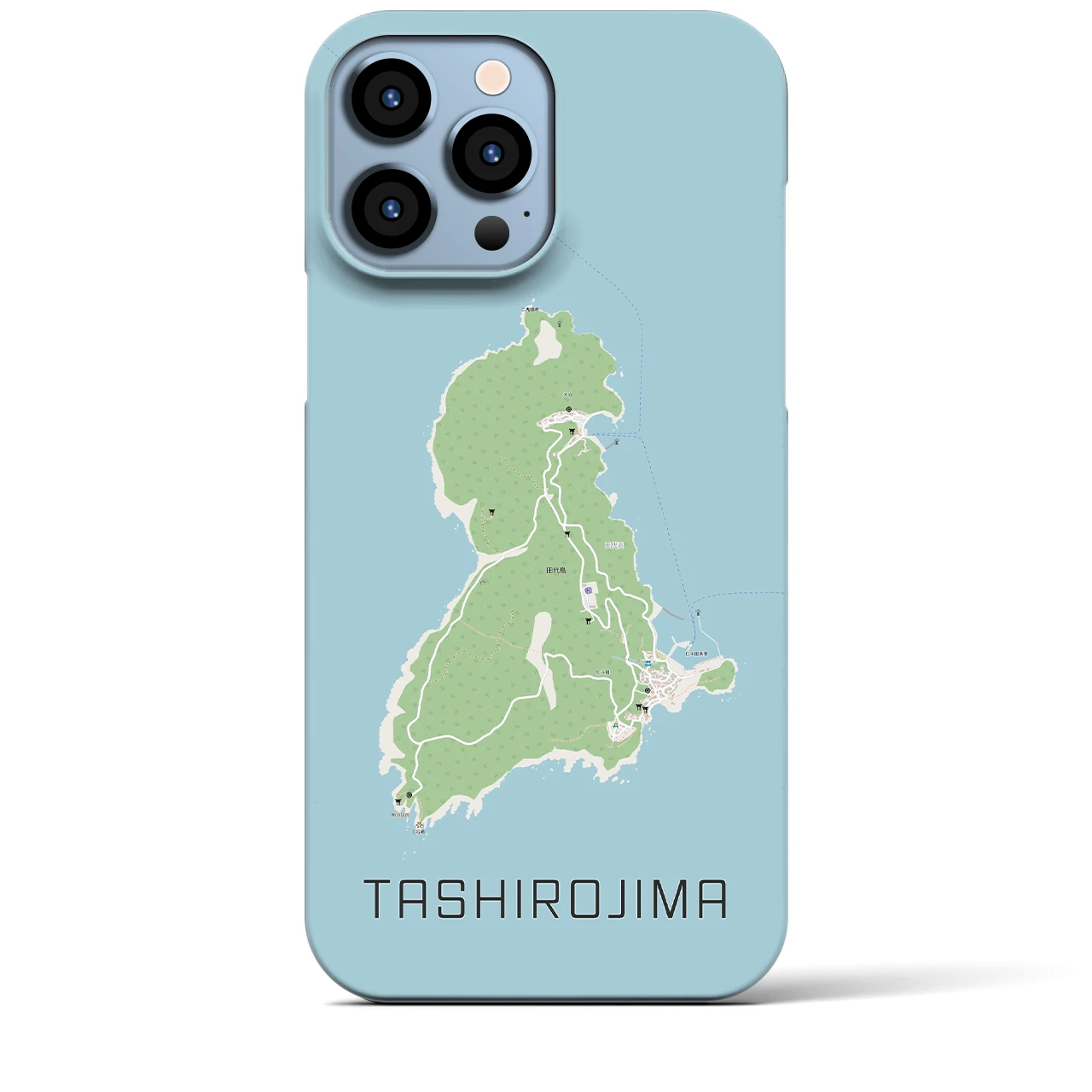 【田代島】地図柄iPhoneケース（バックカバータイプ・ナチュラル）iPhone 13 Pro Max 用