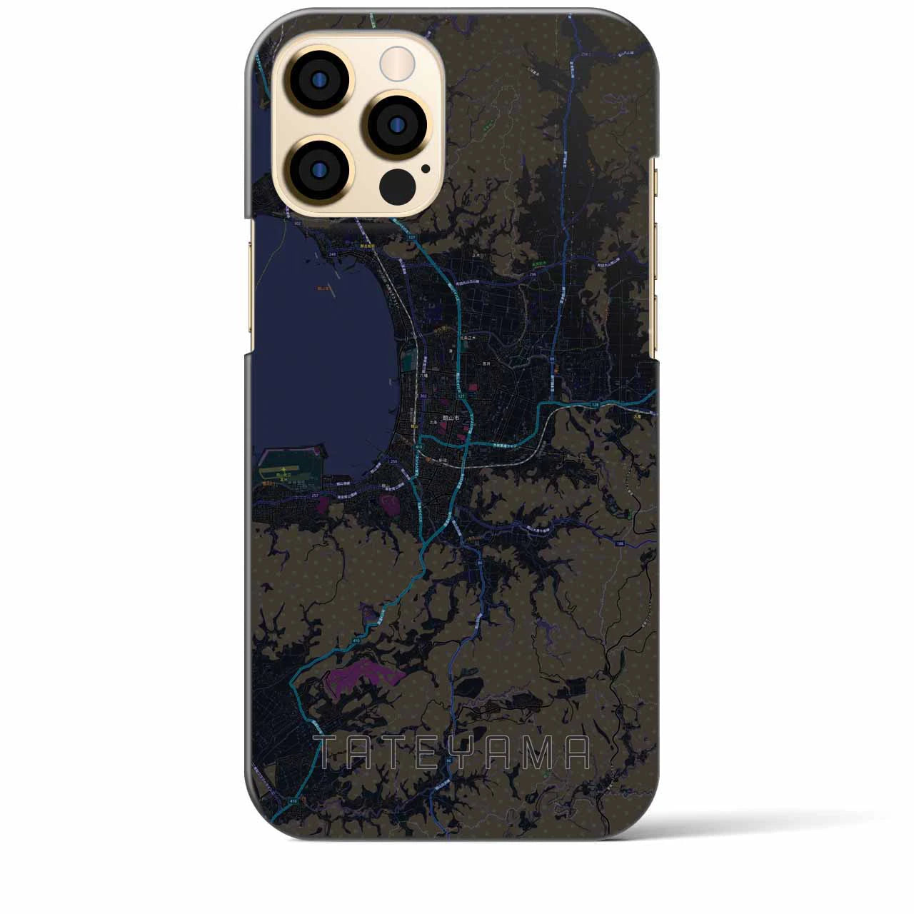 【館山】地図柄iPhoneケース（バックカバータイプ・ブラック）iPhone 12 Pro Max 用