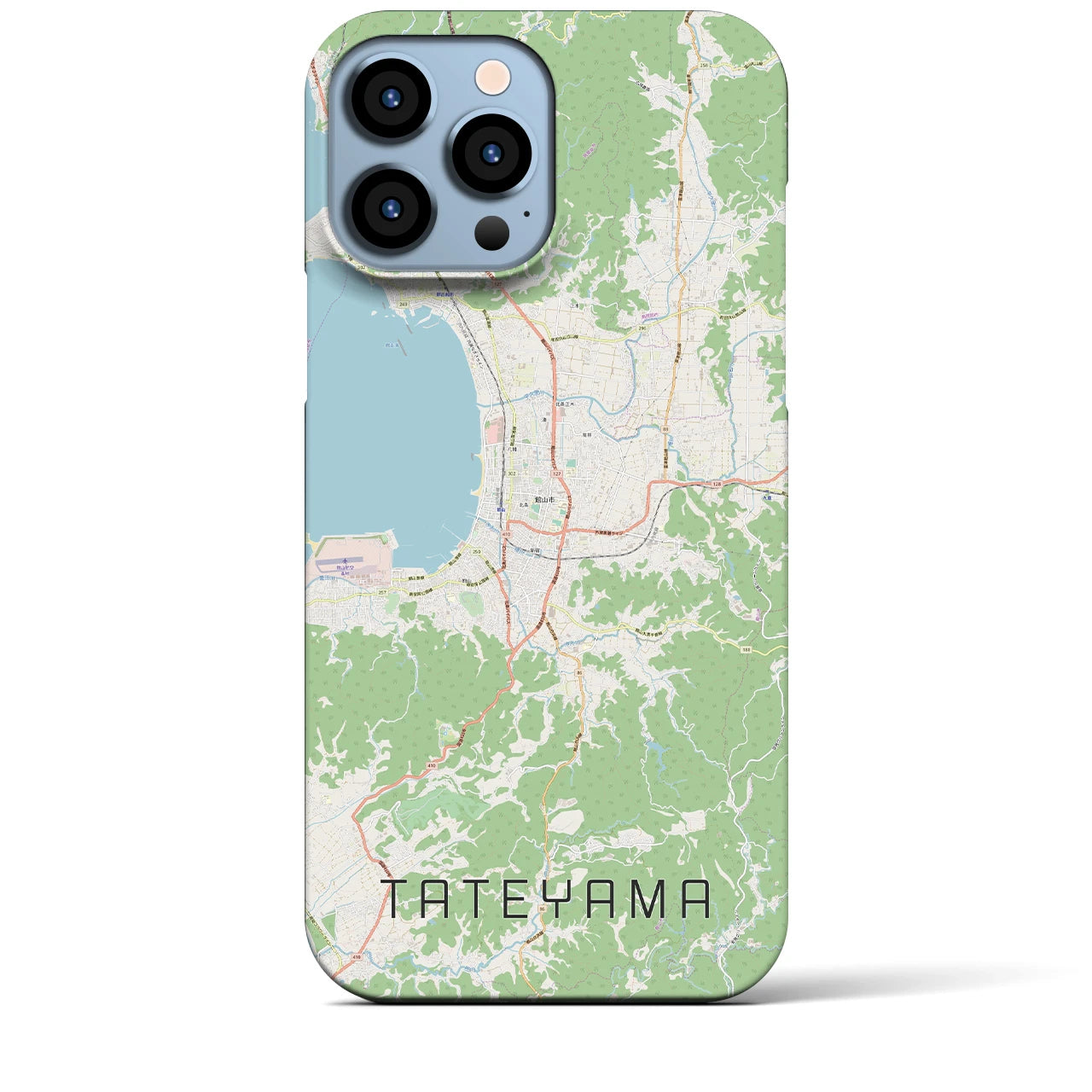 【館山】地図柄iPhoneケース（バックカバータイプ・ナチュラル）iPhone 13 Pro Max 用