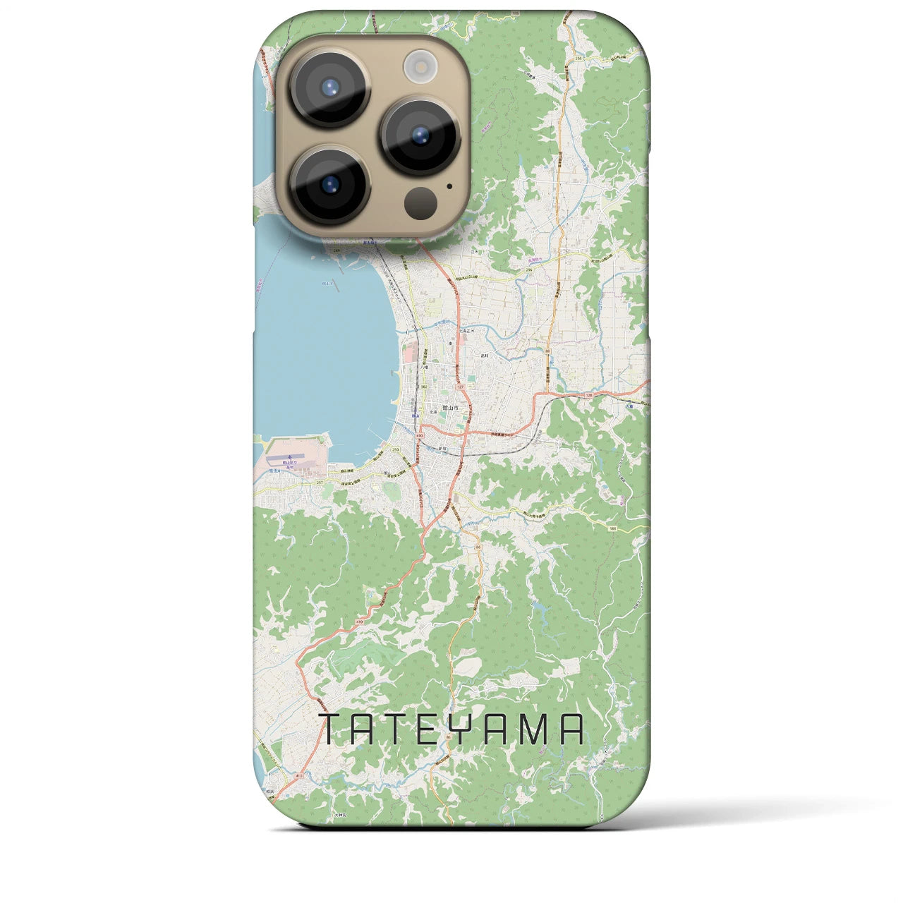 【館山】地図柄iPhoneケース（バックカバータイプ・ナチュラル）iPhone 14 Pro Max 用