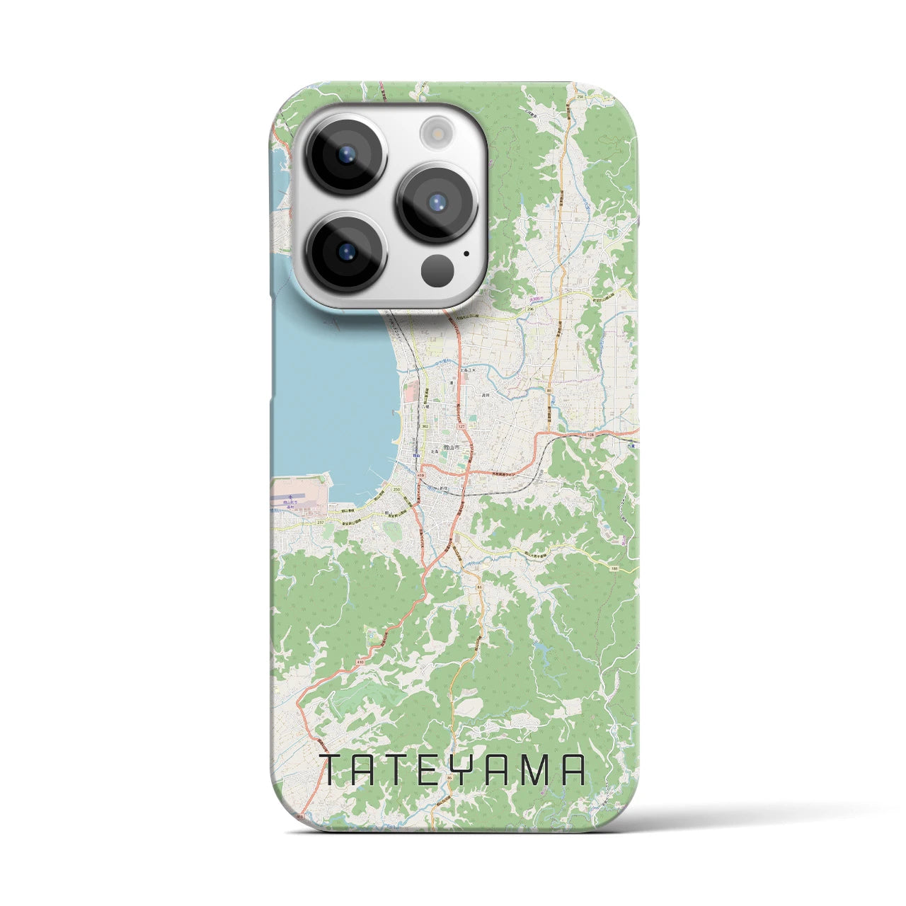 【館山】地図柄iPhoneケース（バックカバータイプ・ナチュラル）iPhone 14 Pro 用