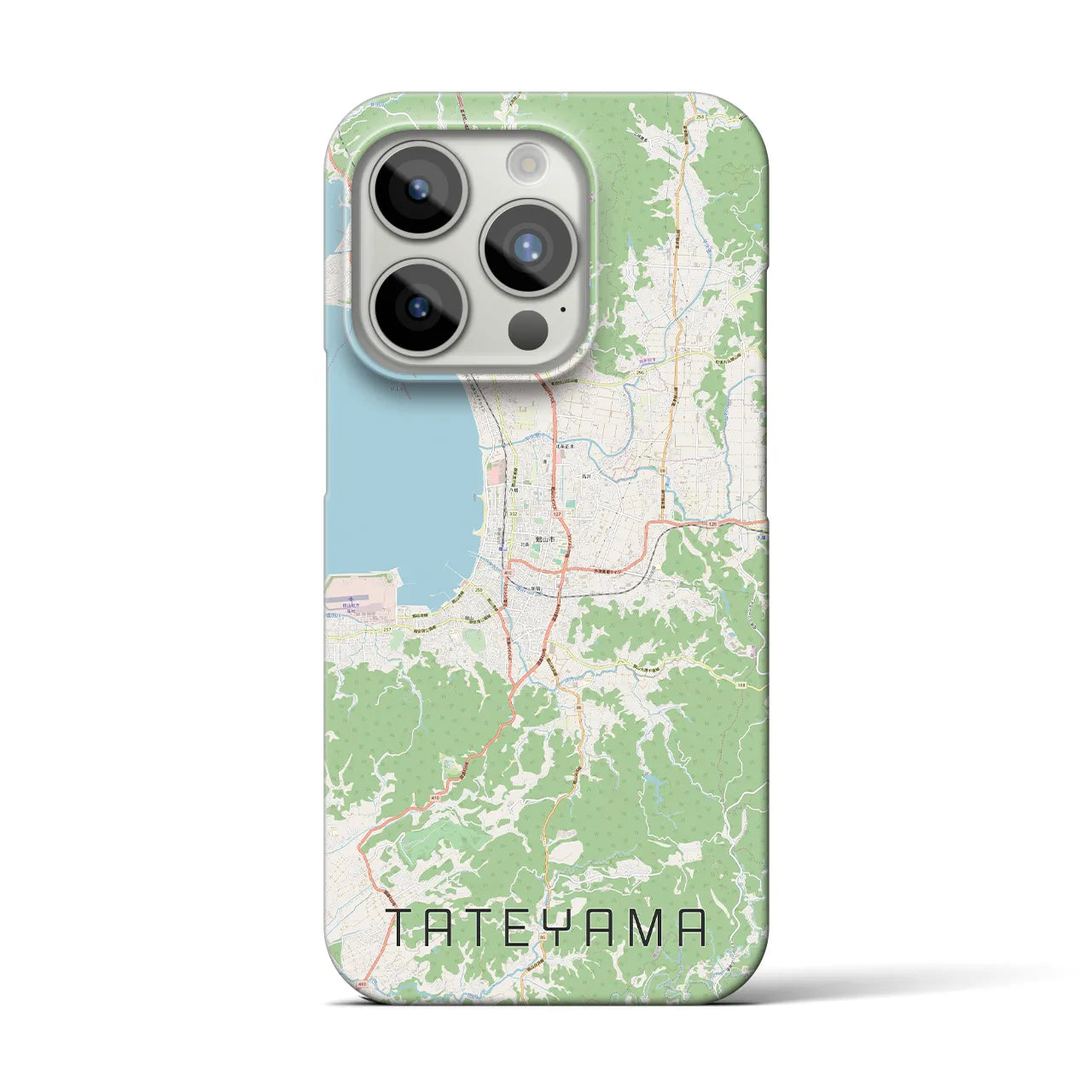 【館山】地図柄iPhoneケース（バックカバータイプ・ナチュラル）iPhone 15 Pro 用