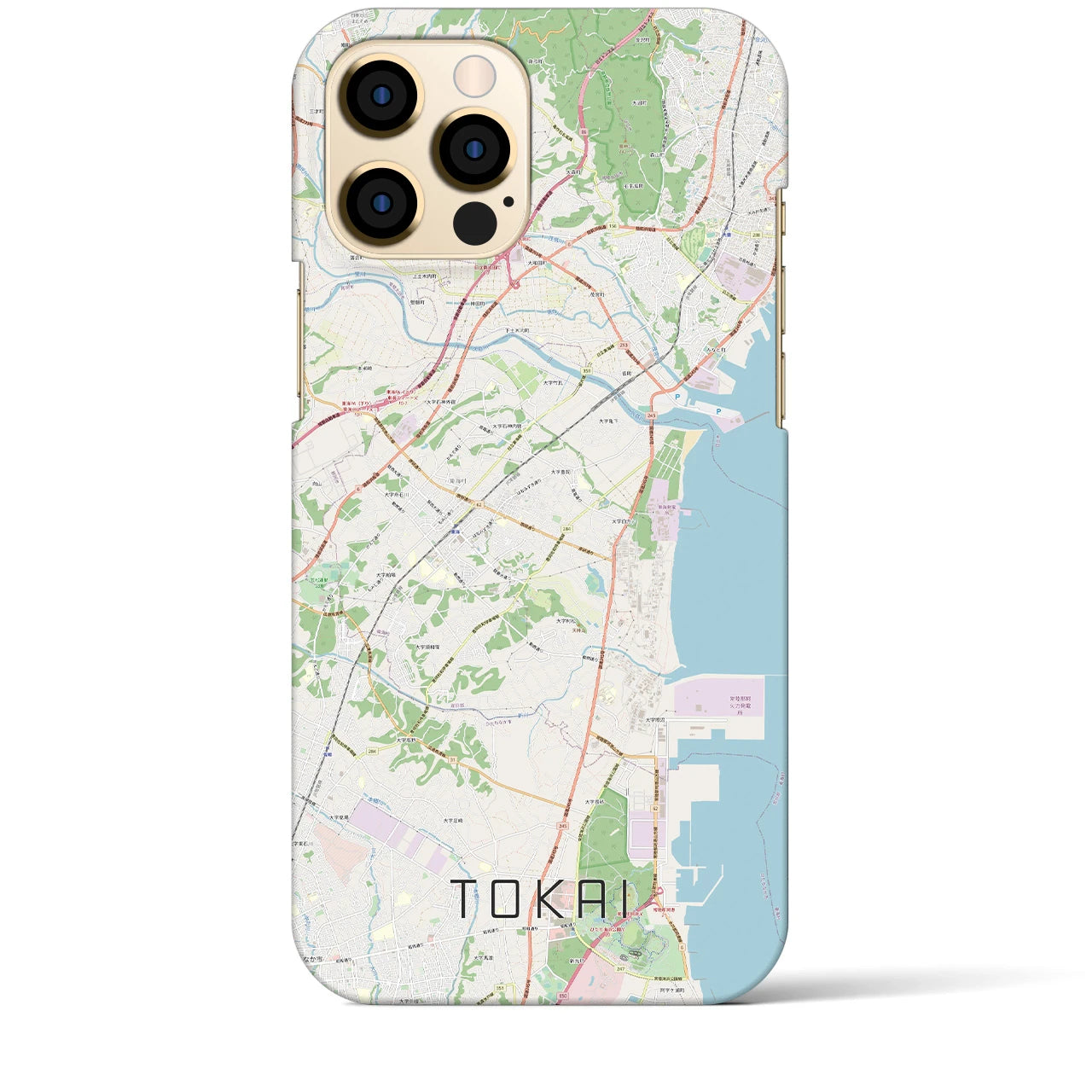 【東海（茨城県）】地図柄iPhoneケース（バックカバータイプ・ナチュラル）iPhone 12 Pro Max 用