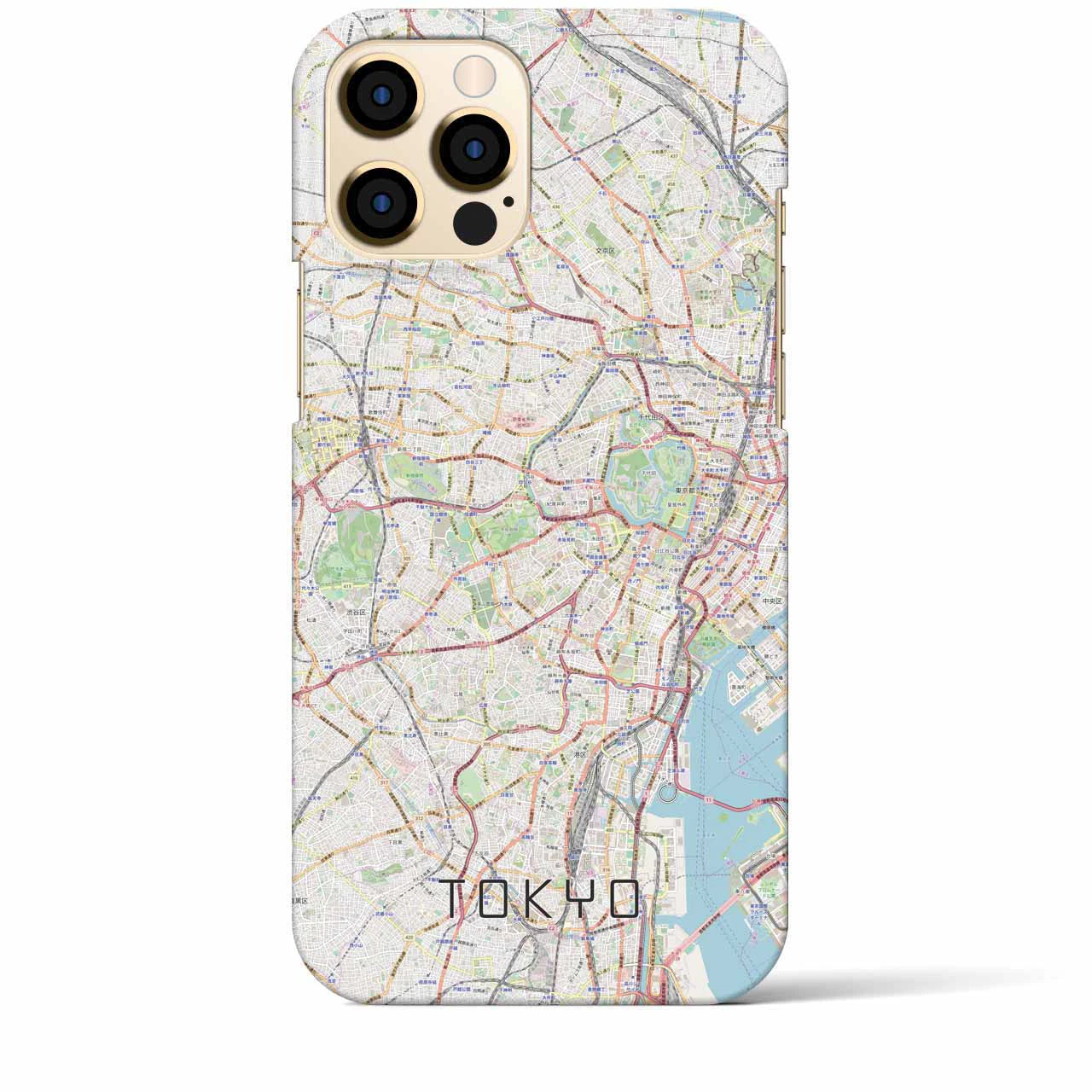 【東京2】地図柄iPhoneケース（バックカバータイプ・ナチュラル）iPhone 12 Pro Max 用