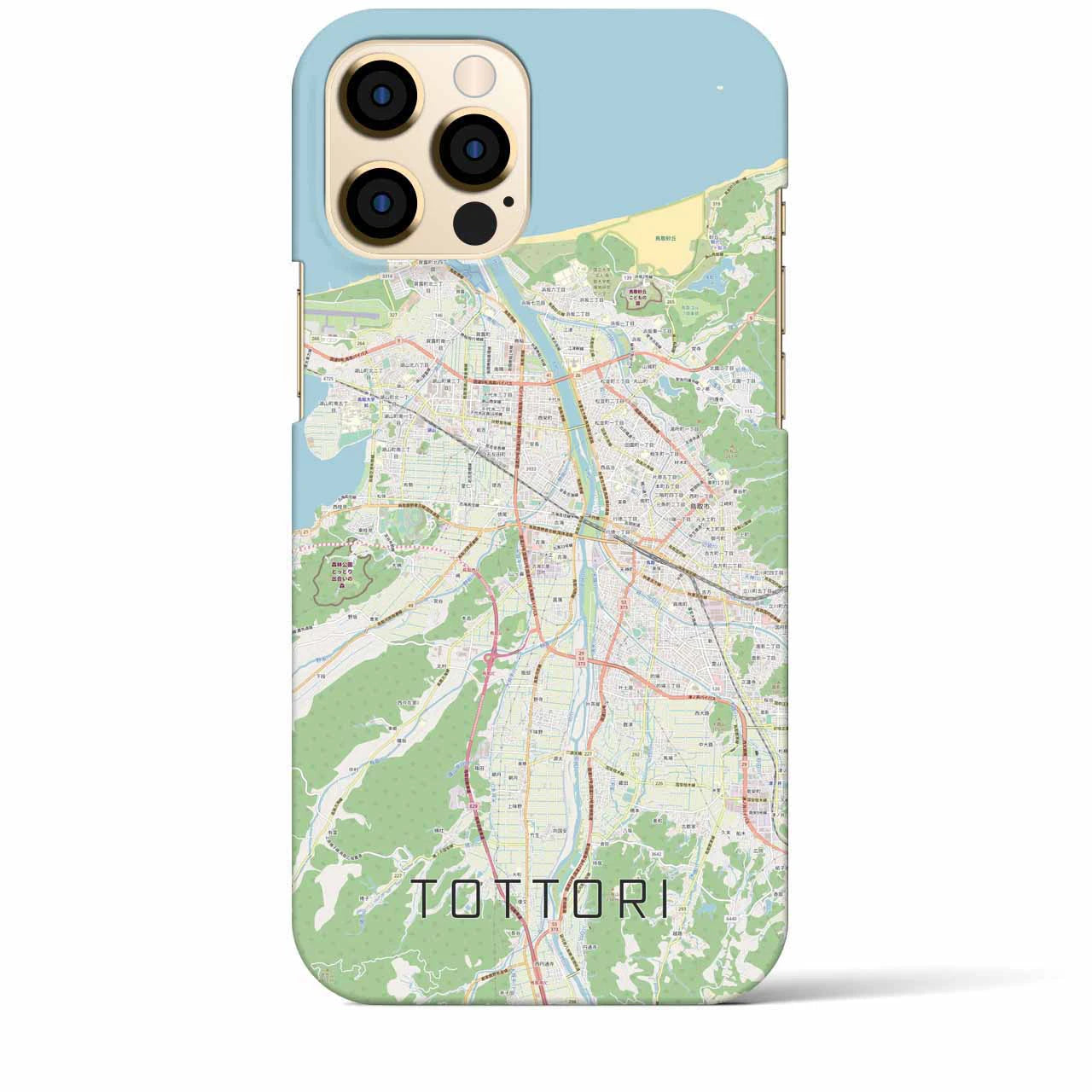 【鳥取】地図柄iPhoneケース（バックカバータイプ・ナチュラル）iPhone 12 Pro Max 用