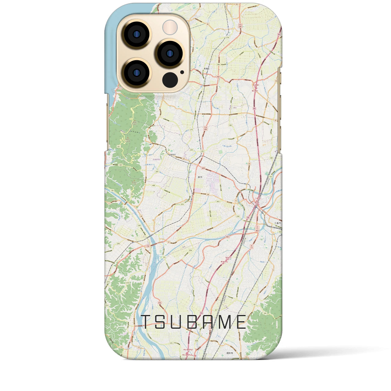 【燕】地図柄iPhoneケース（バックカバータイプ・ナチュラル）iPhone 12 Pro Max 用