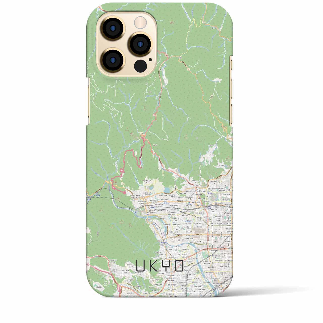 【右京】地図柄iPhoneケース（バックカバータイプ・ナチュラル）iPhone 12 Pro Max 用