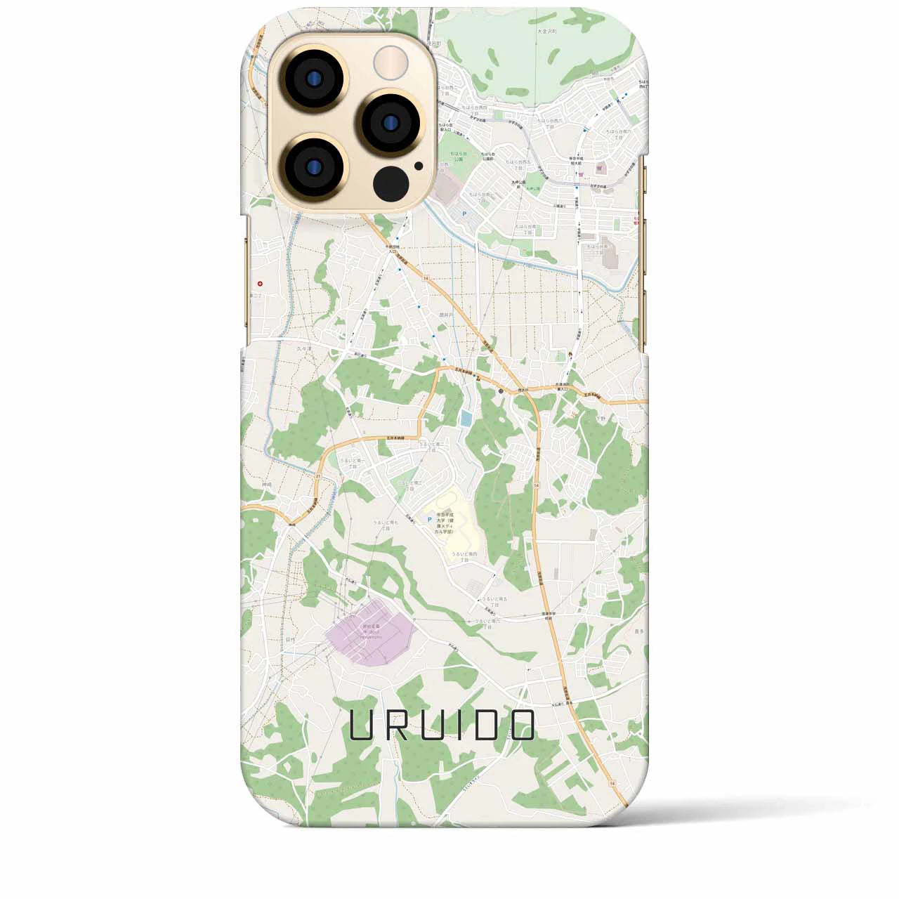 【潤井戸】地図柄iPhoneケース（バックカバータイプ・ナチュラル）iPhone 12 Pro Max 用