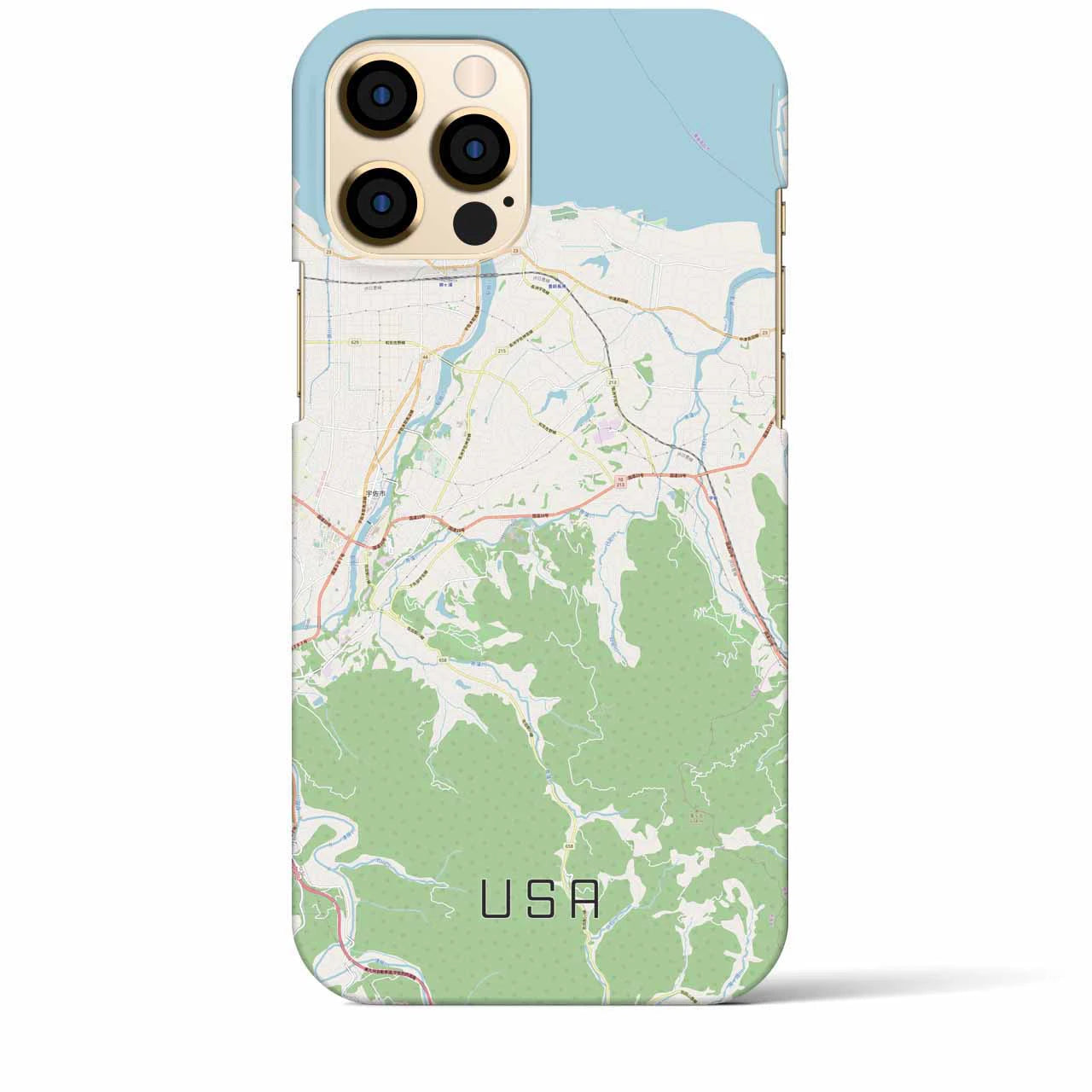 【宇佐】地図柄iPhoneケース（バックカバータイプ・ナチュラル）iPhone 12 Pro Max 用