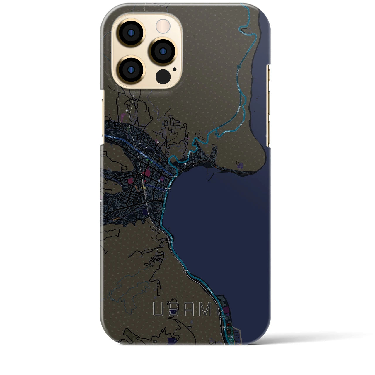 【宇佐美】地図柄iPhoneケース（バックカバータイプ・ブラック）iPhone 12 Pro Max 用