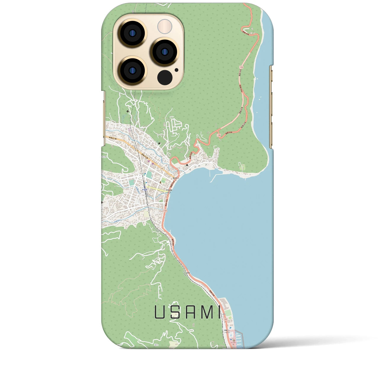 【宇佐美】地図柄iPhoneケース（バックカバータイプ・ナチュラル）iPhone 12 Pro Max 用