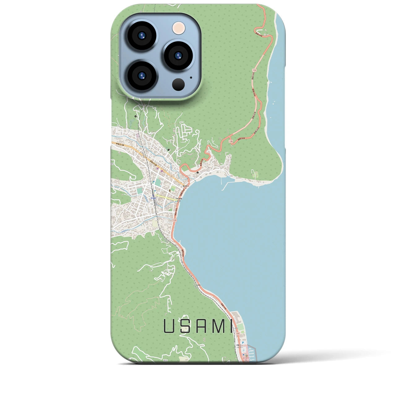 【宇佐美】地図柄iPhoneケース（バックカバータイプ・ナチュラル）iPhone 13 Pro Max 用
