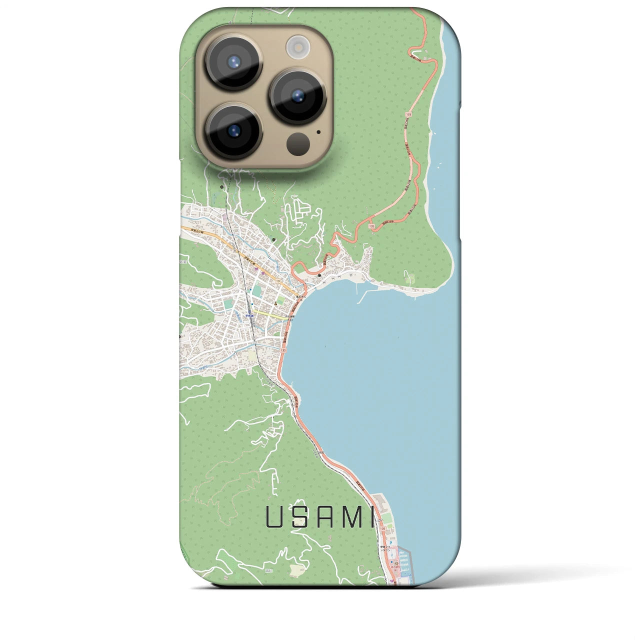 【宇佐美】地図柄iPhoneケース（バックカバータイプ・ナチュラル）iPhone 14 Pro Max 用